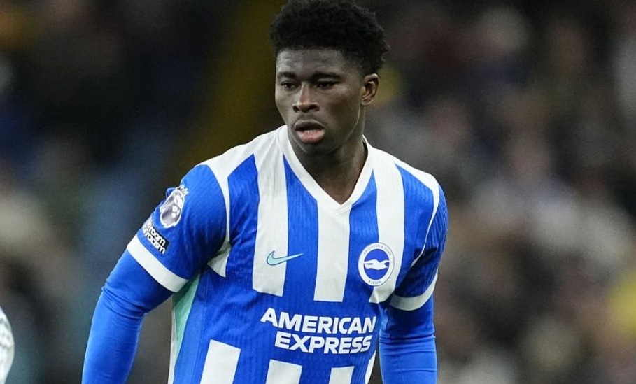 Ac mong cua Baleba hinh anh