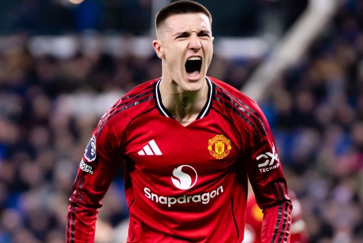 Highlights Everton 0-1 Man Utd hinh anh