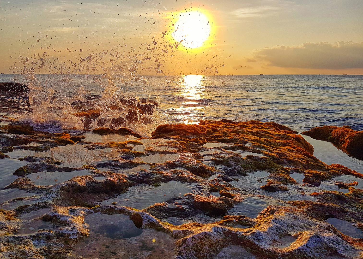 Trien lam anh Sac mau cuoc song anh 5