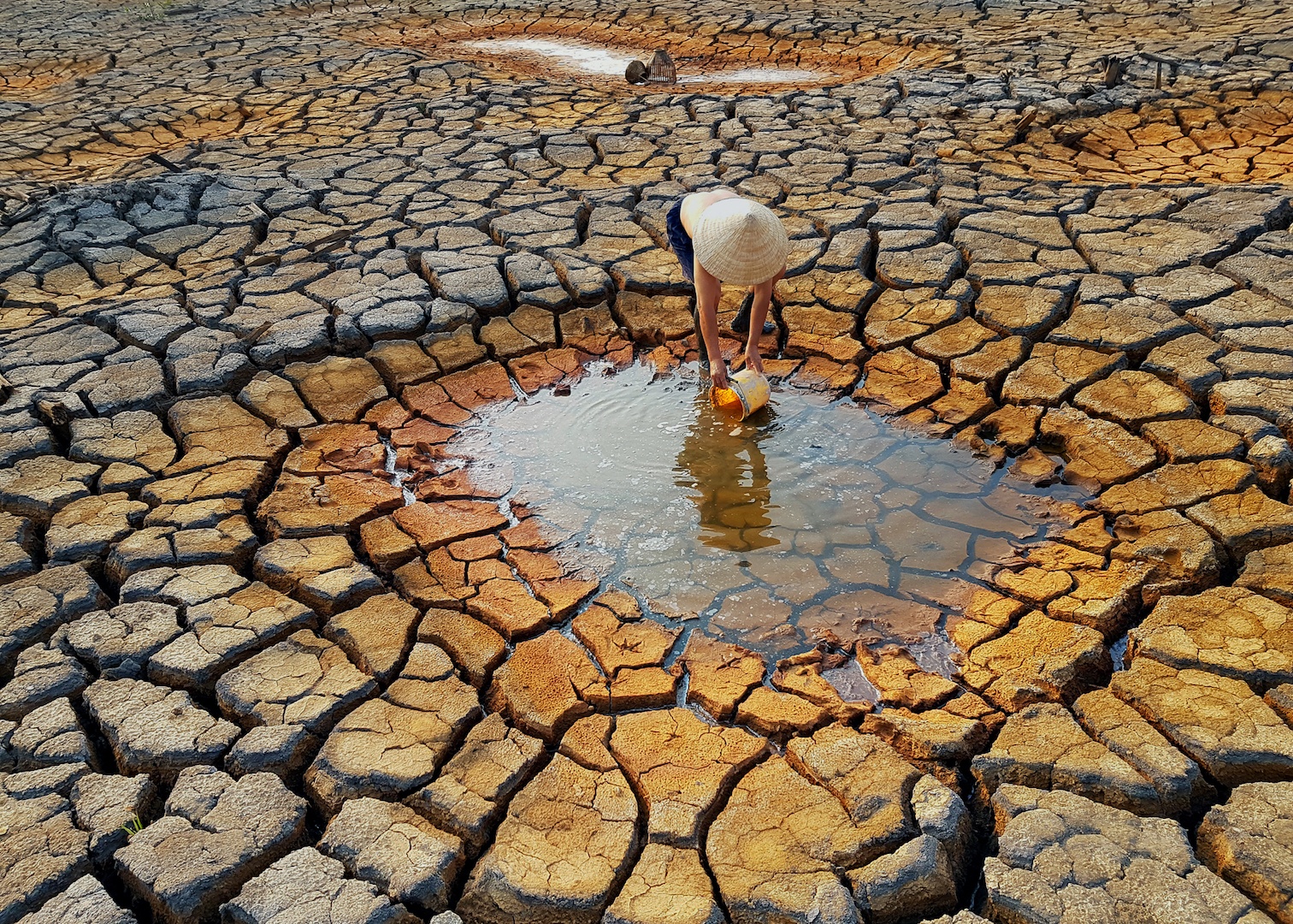 Trien lam anh chup bang smartphone o Sai Gon hinh anh