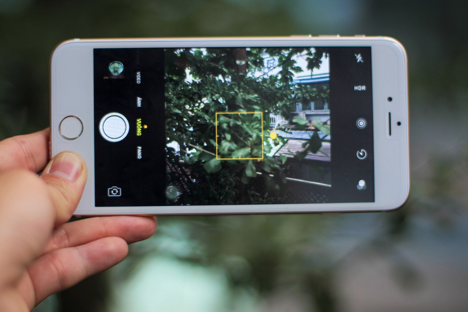 iPhone 7 Plus nhai anh 15