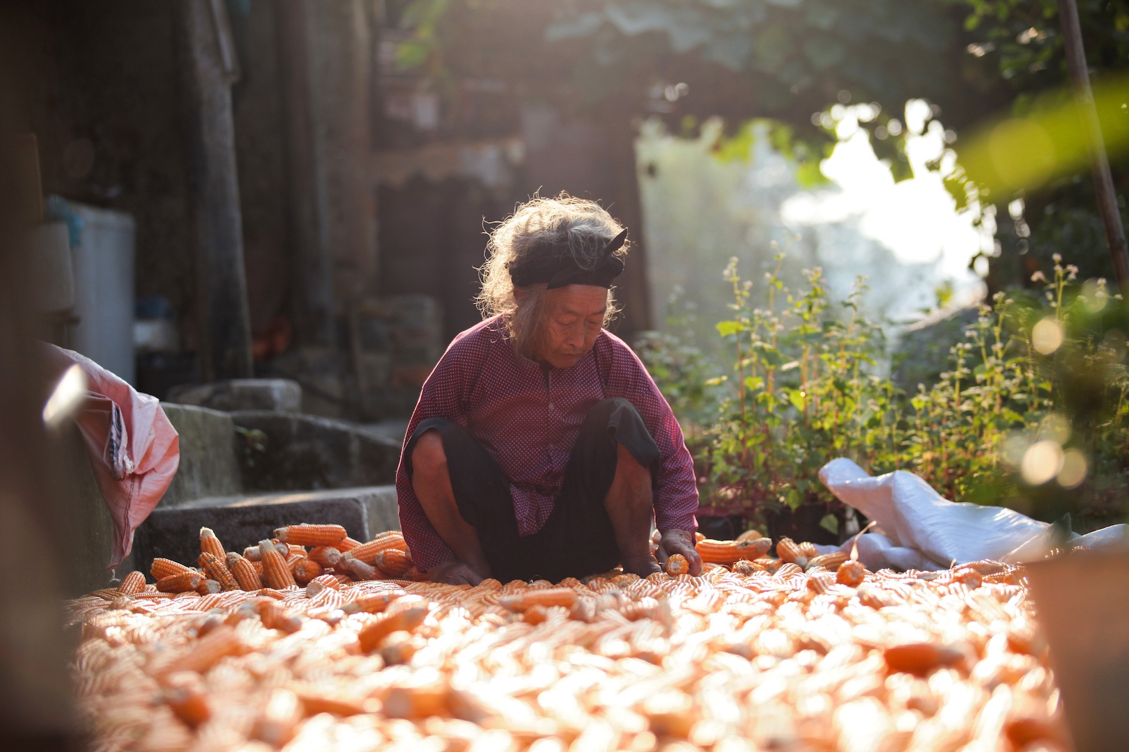 Du Lich Ha Giang anh 8