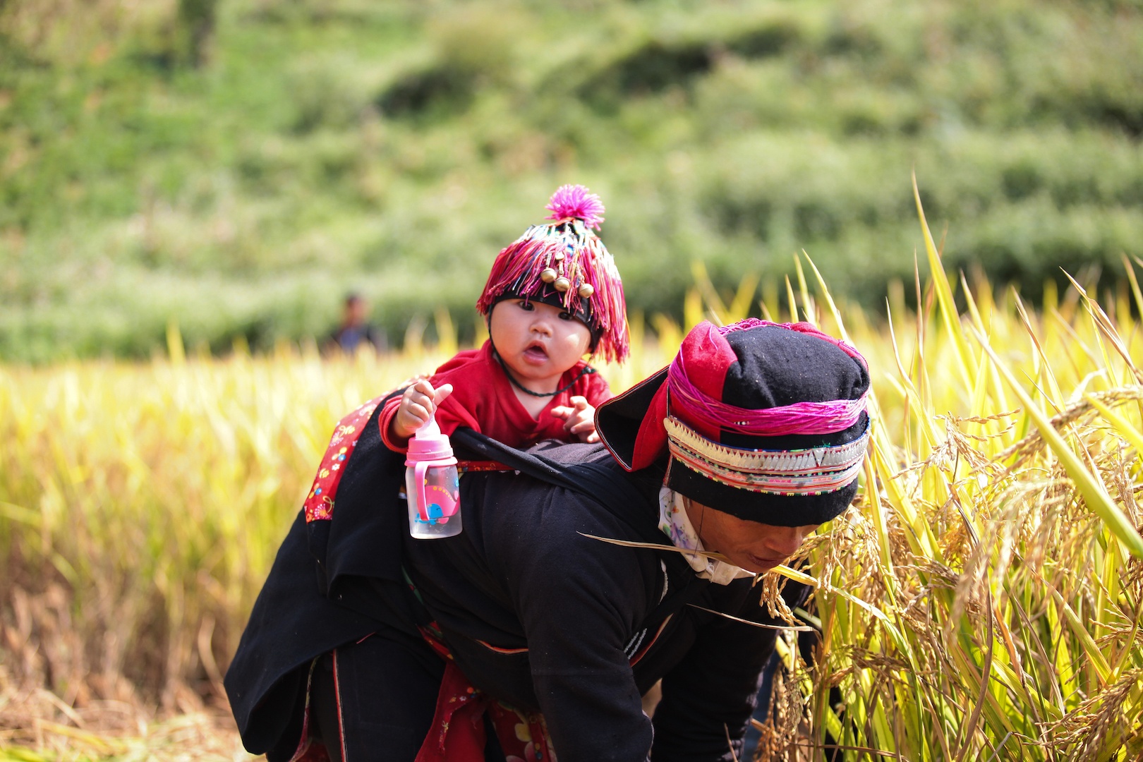 Du Lich Ha Giang anh 6