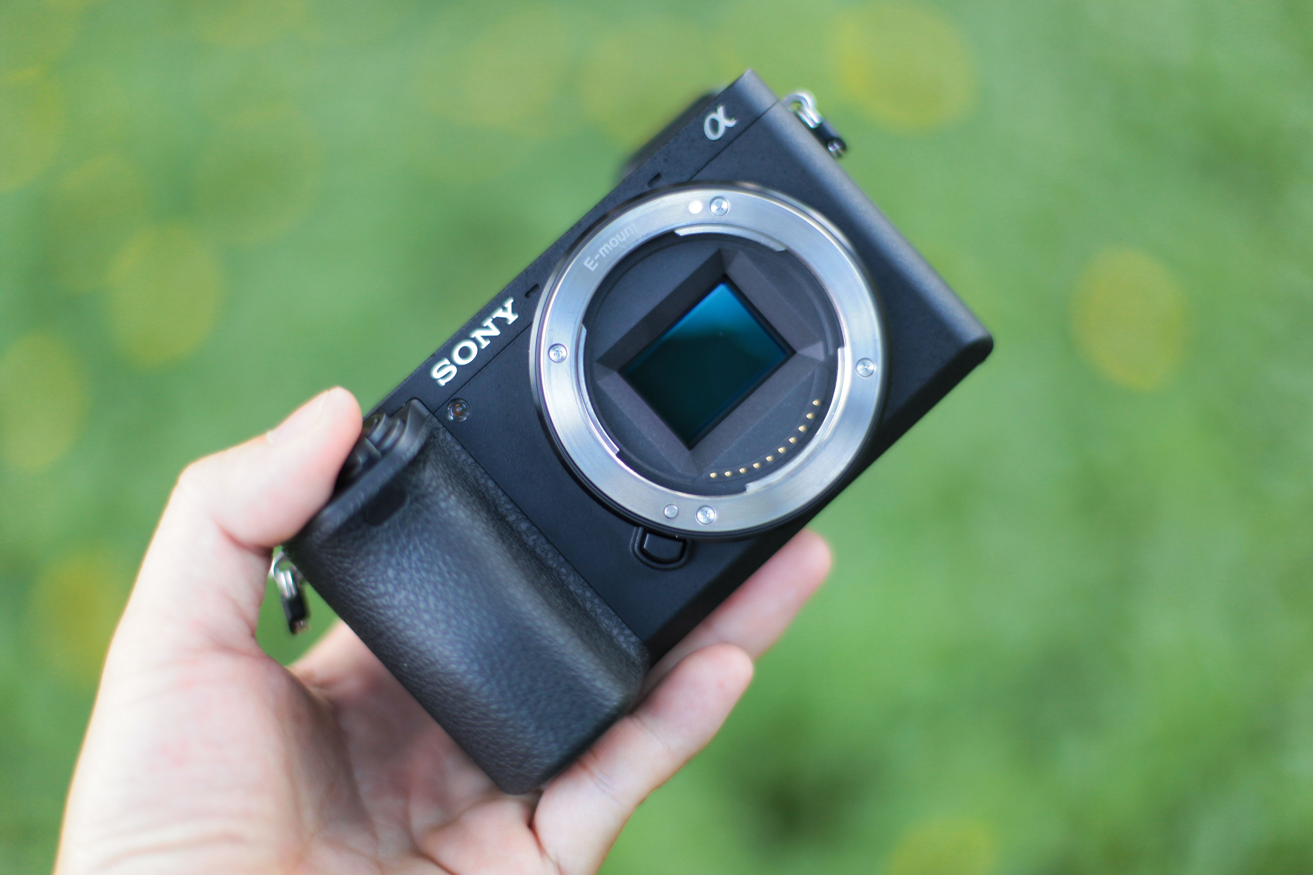 Sony A76500 tai Viet Nam, anh 8