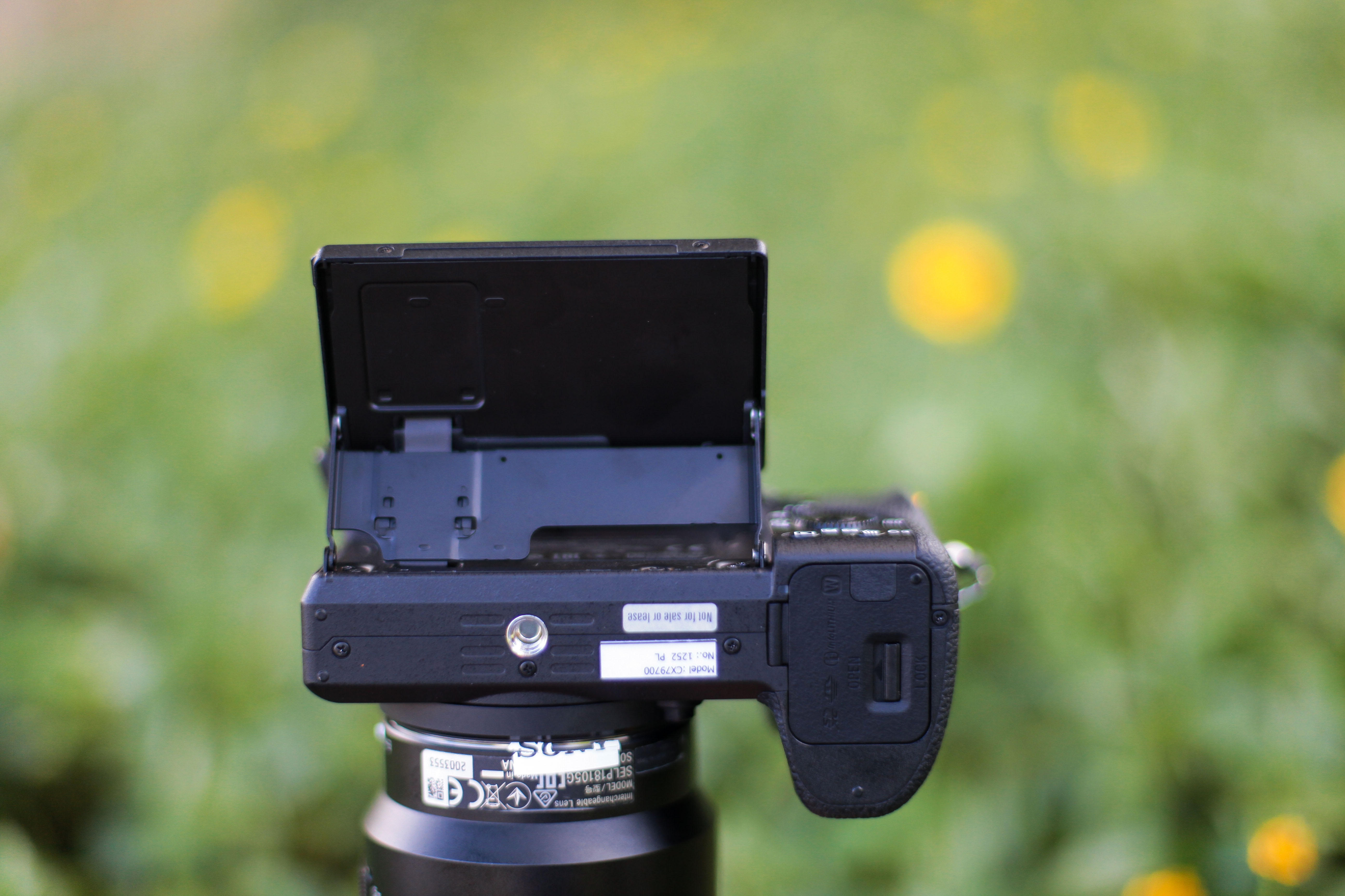 Sony A76500 tai Viet Nam, anh 3