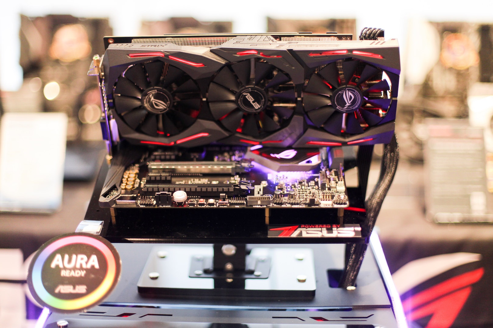 Bo mach chu Asus, anh 1