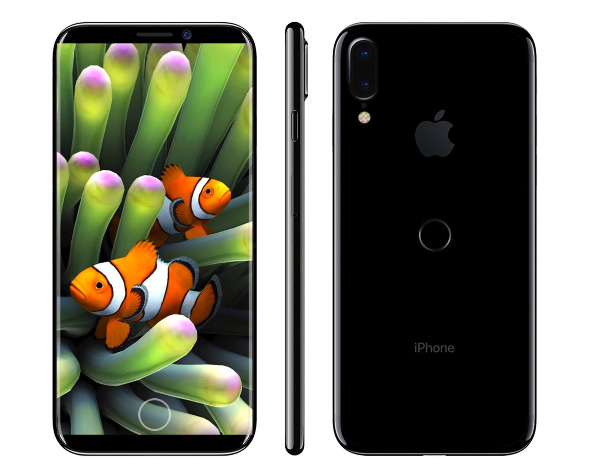 iPhone 8 cuối cùng ảnh 2 iPhone 8 cuoi cung anh 2