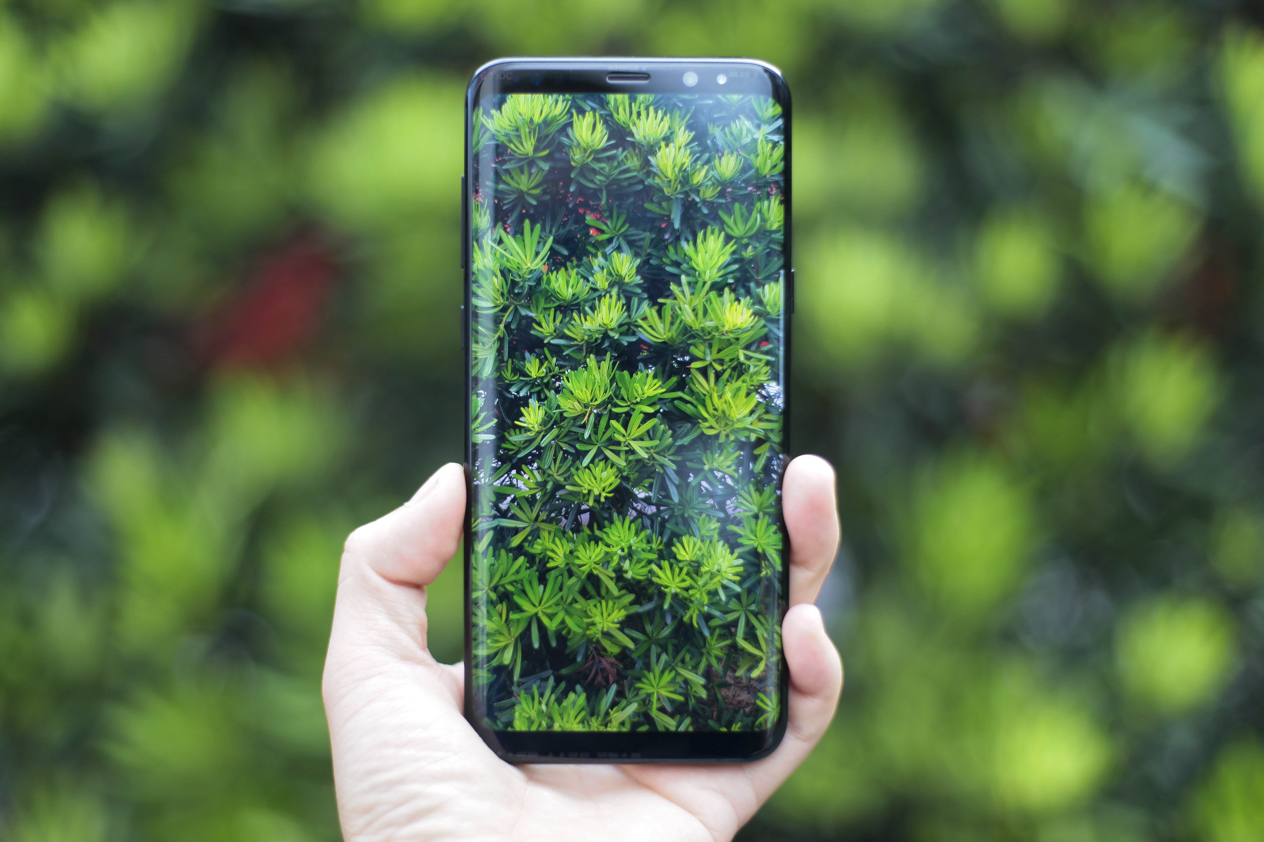 Nhung thay doi ve thiet ke tren Samsung Galaxy S8 hinh anh