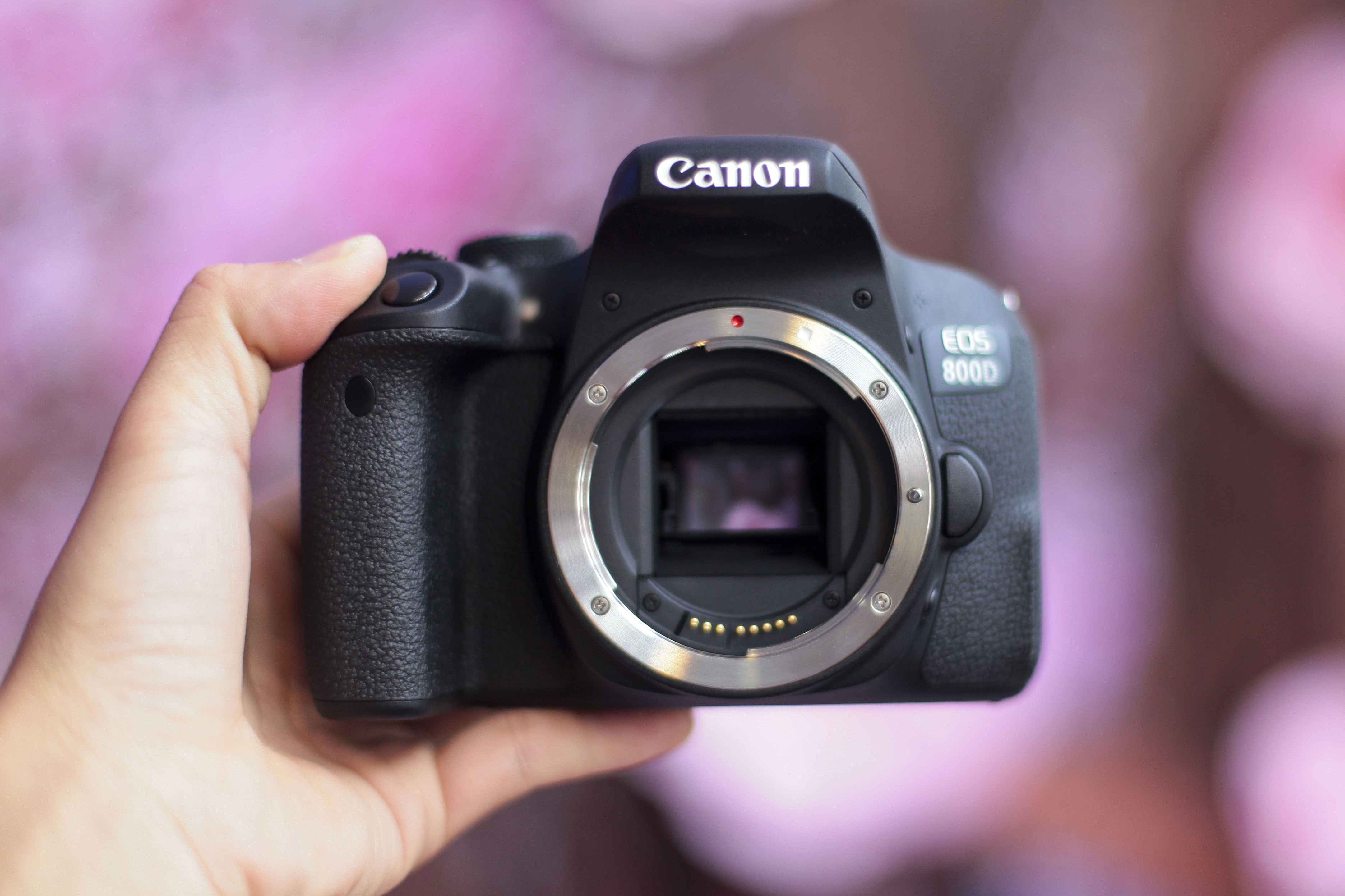 Canon EOS 800D anh 2