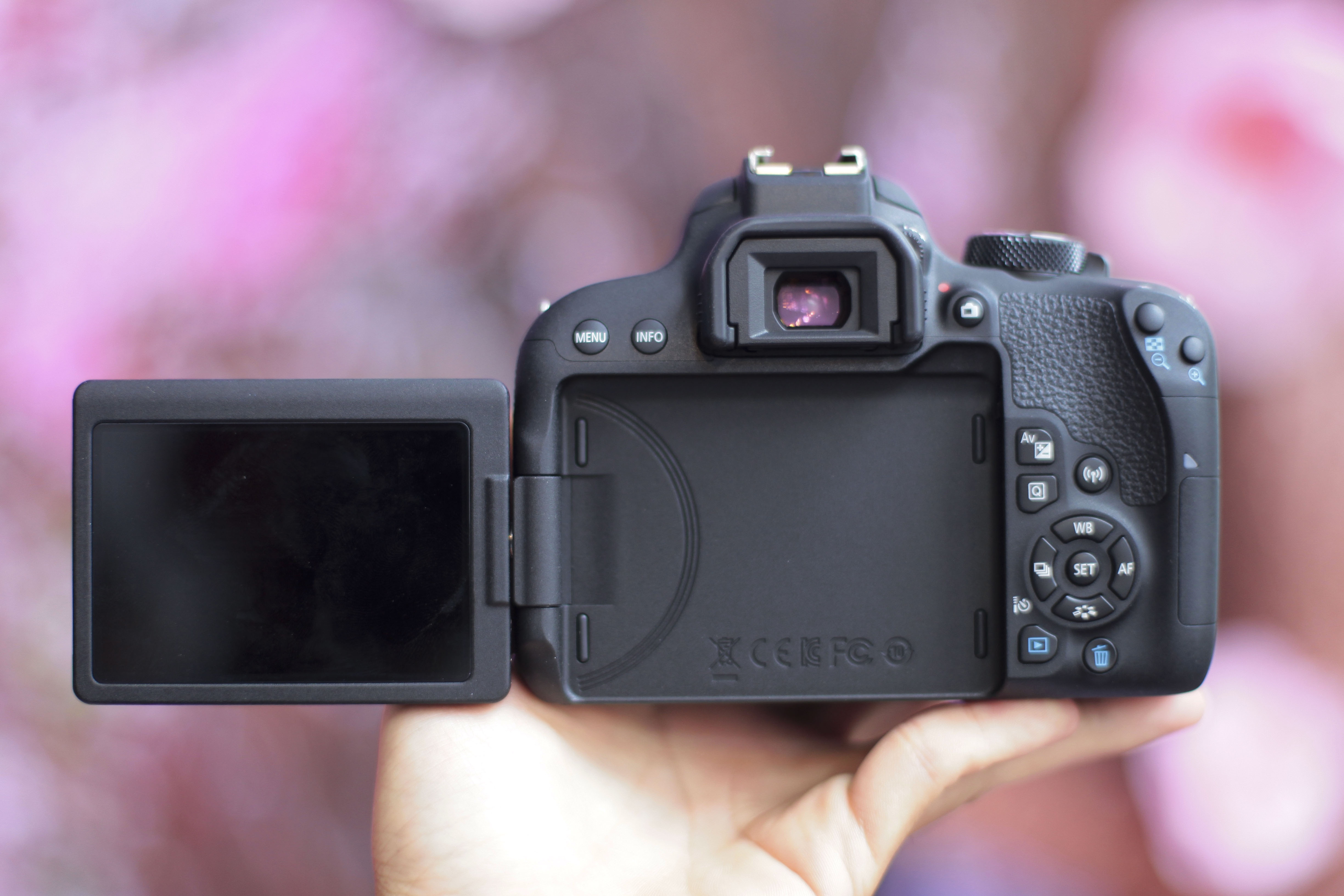 Canon EOS 800D ảnh 6 Canon EOS 800D anh 6