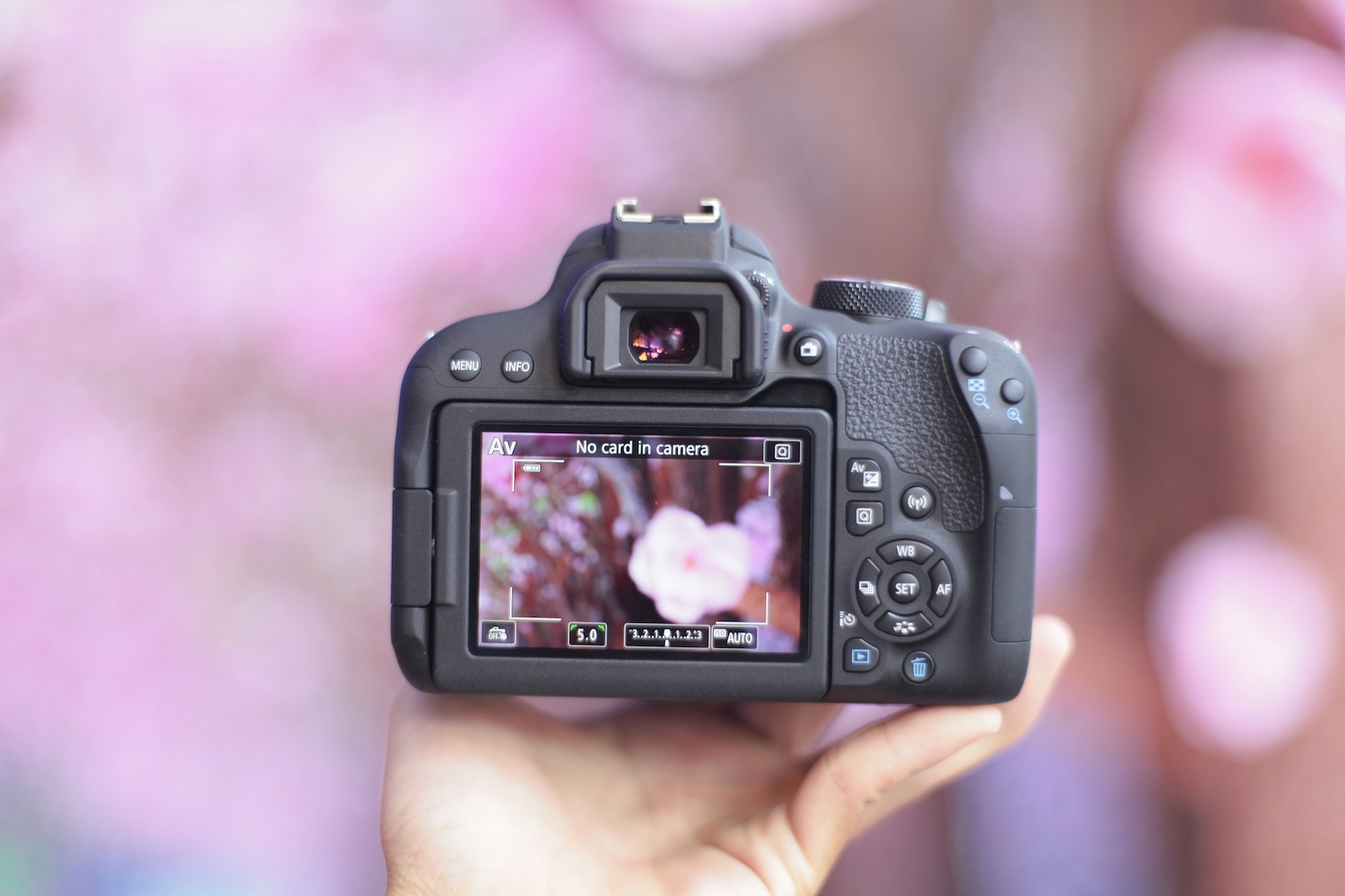 Canon EOS 800D anh 10