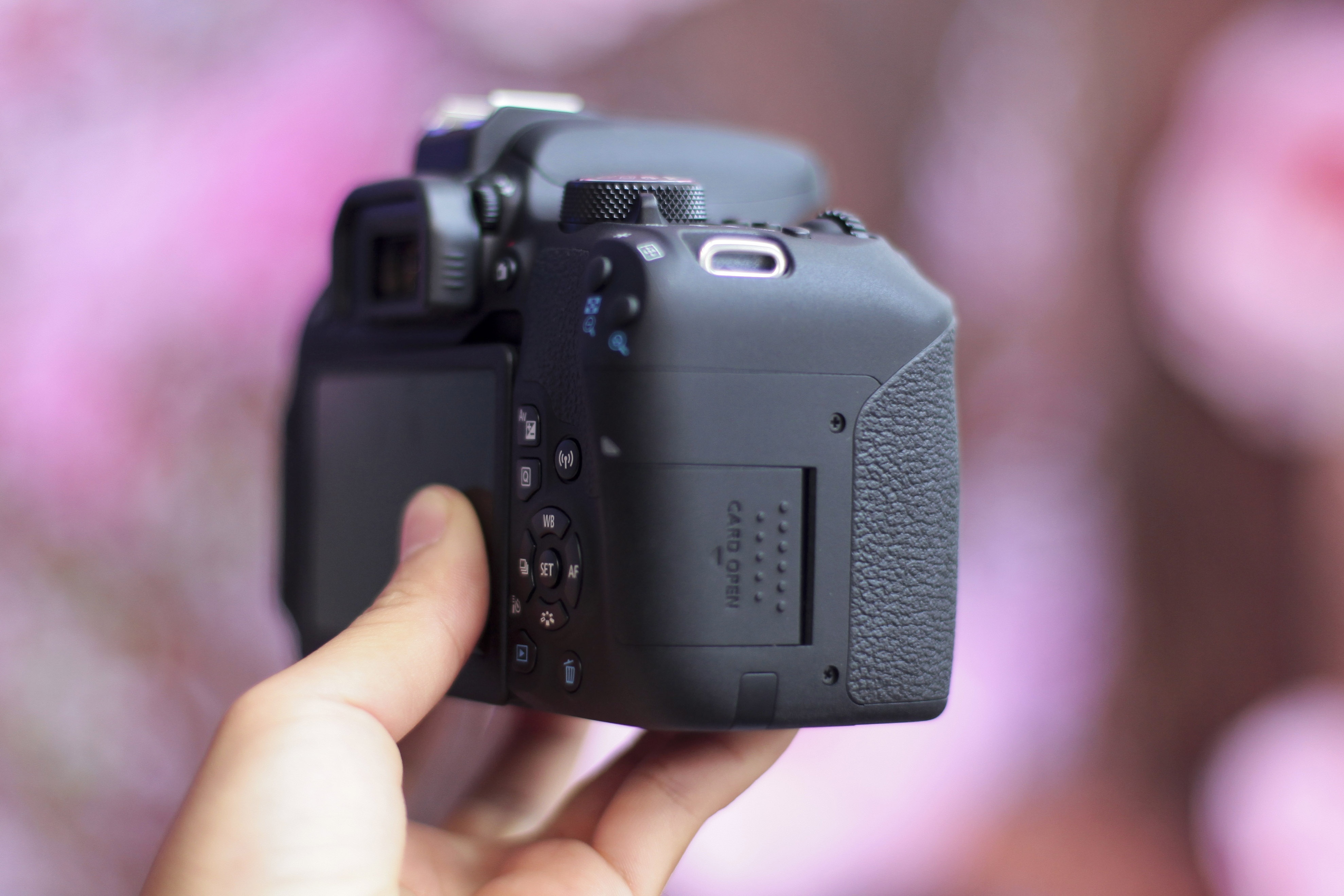 Canon EOS 800D ảnh 8 Canon EOS 800D anh 8