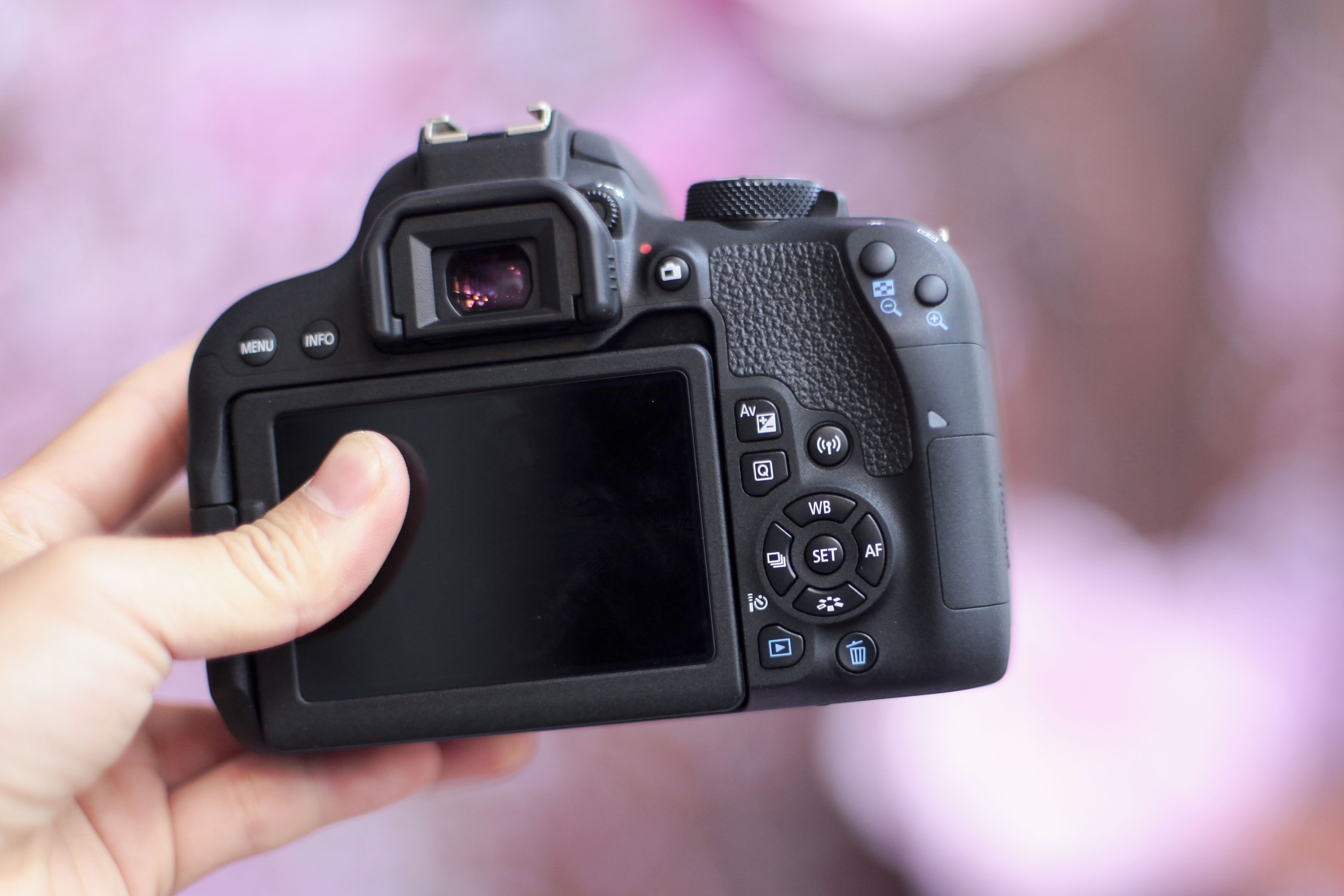 Canon EOS 800D ảnh 5 Canon EOS 800D anh 5