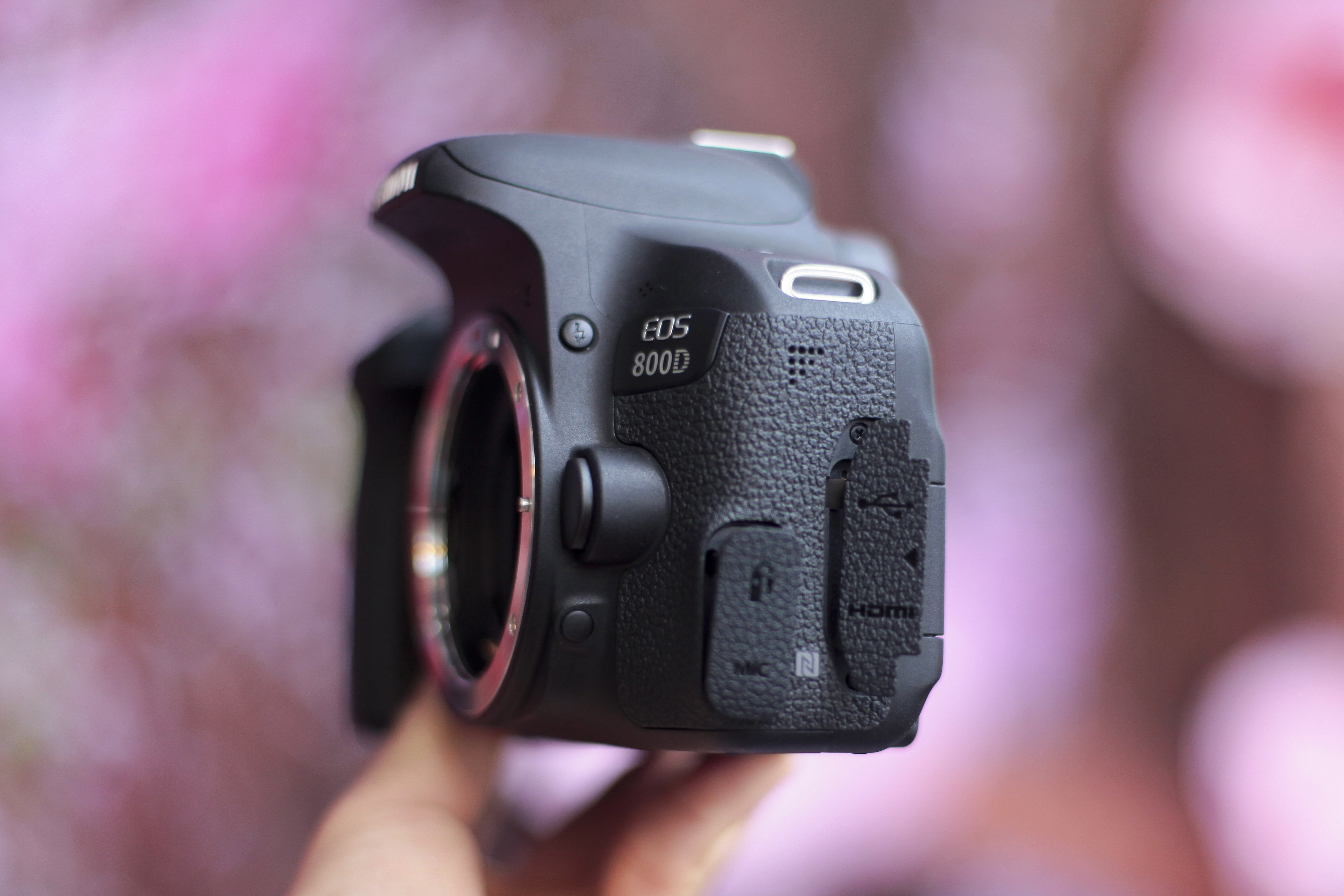 Canon EOS 800D ảnh 9 Canon EOS 800D anh 9