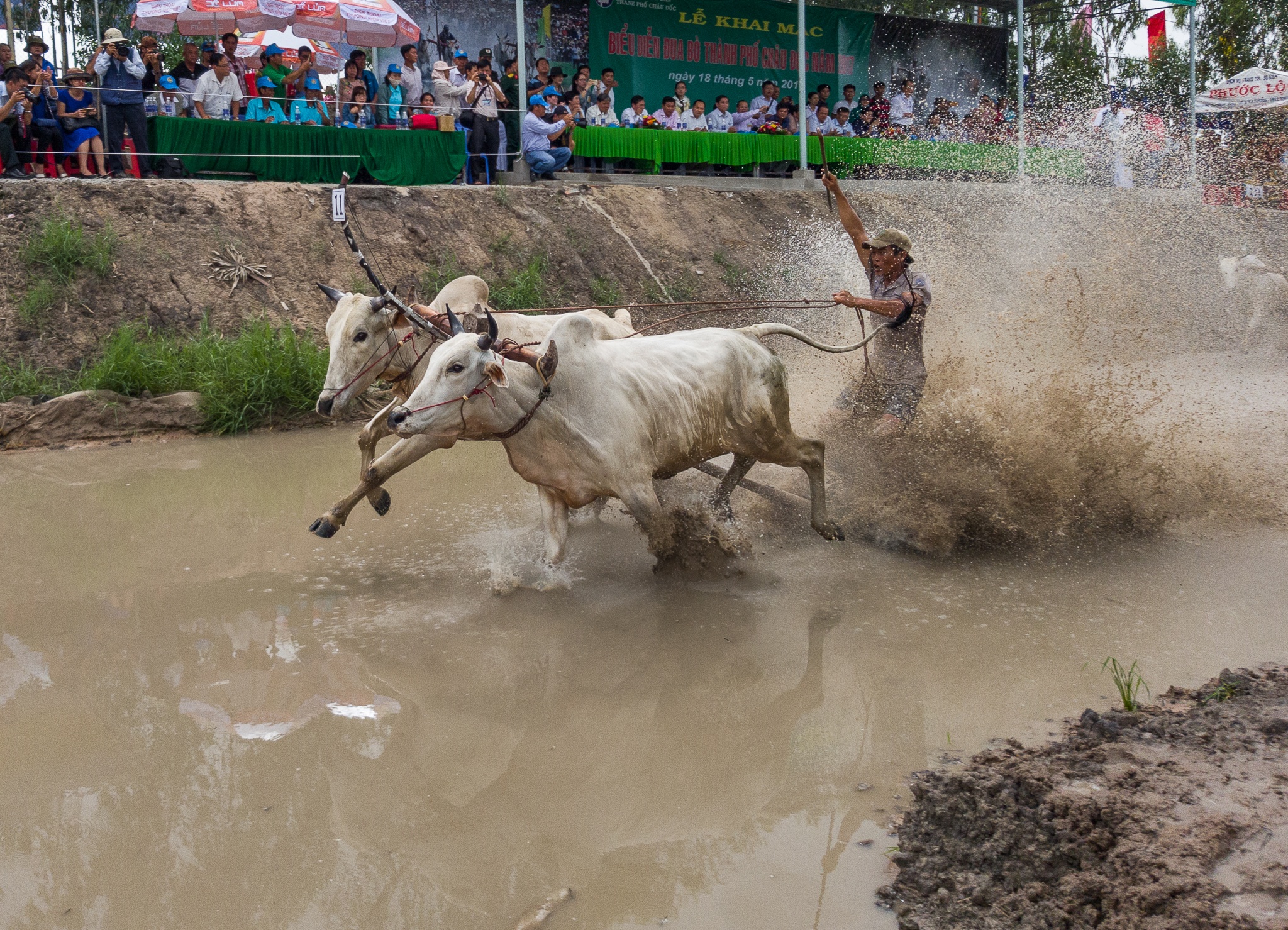 Sac mau cuoc song 2017 anh 2