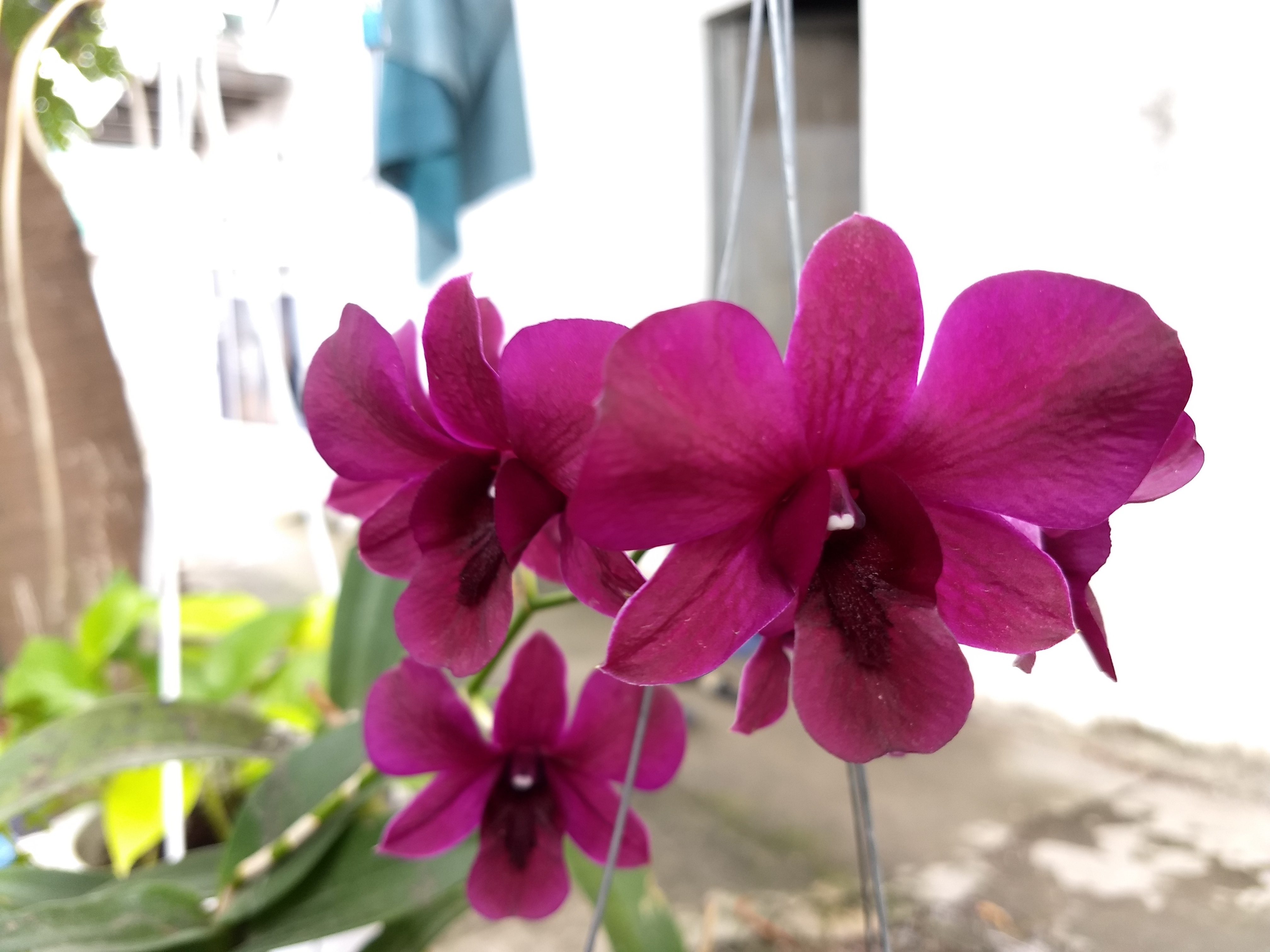 Đánh giá Moto Z2 Play ảnh 5 Danh gia Moto Z2 Play anh 5