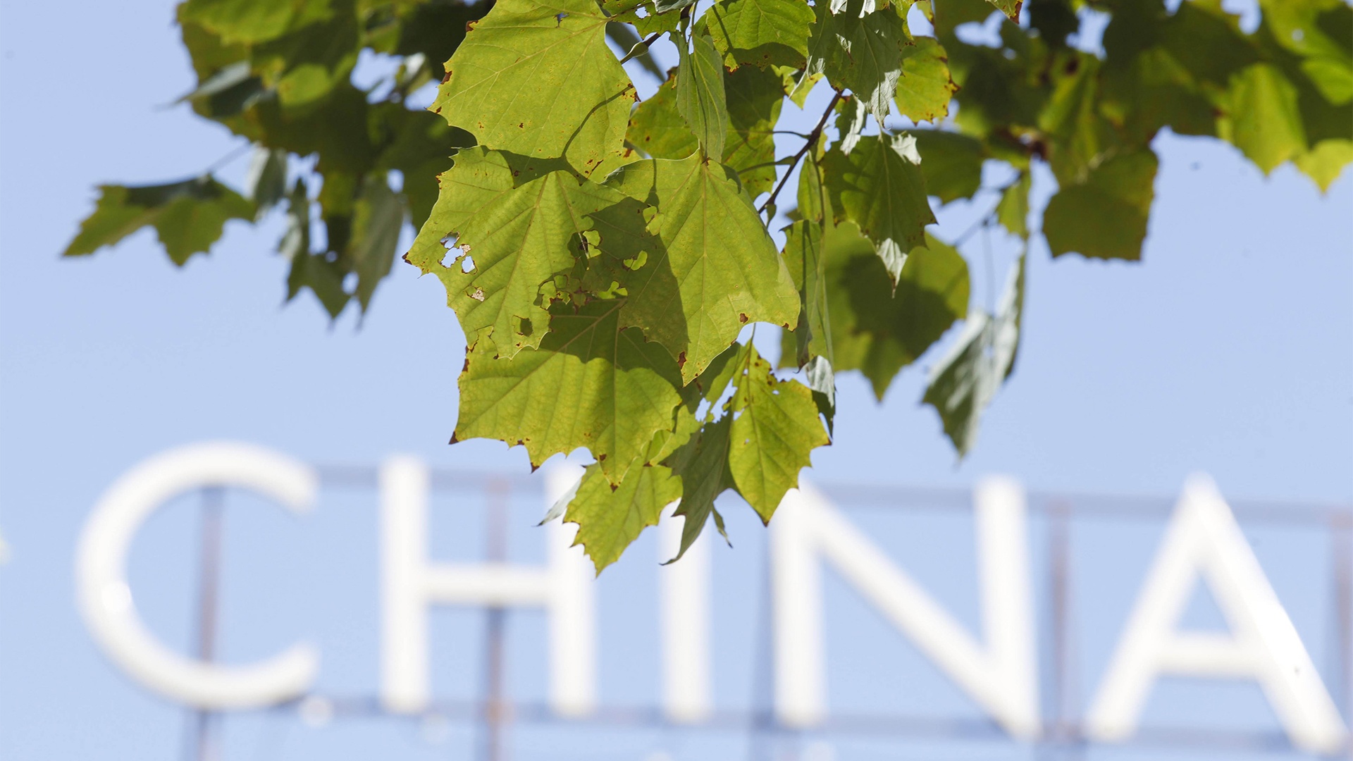 Ô nhiễm ở Bắc Kinh ảnh 1 O nhiem o Bac Kinh anh 1