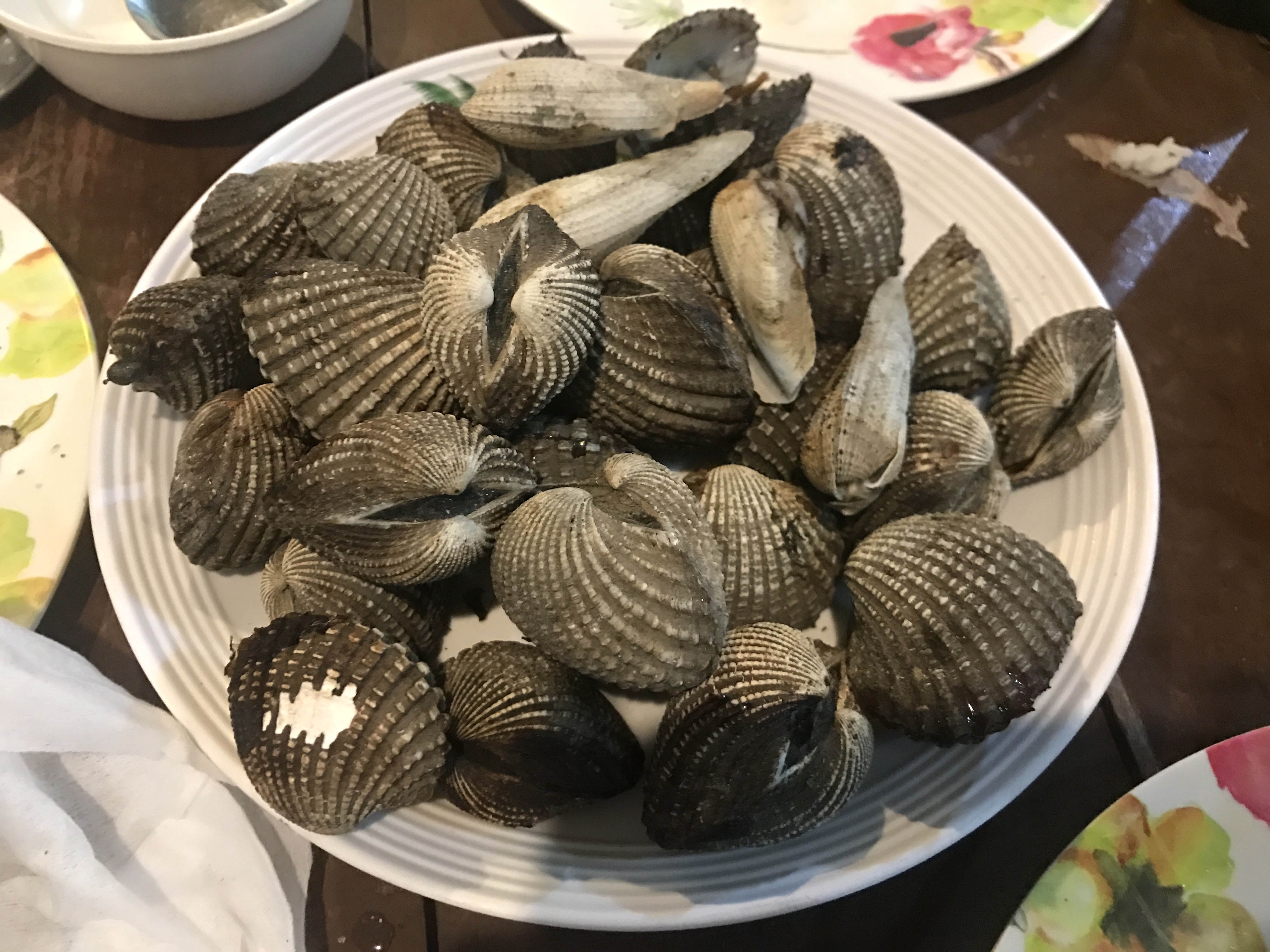 Dao thien duong Boracay anh 16