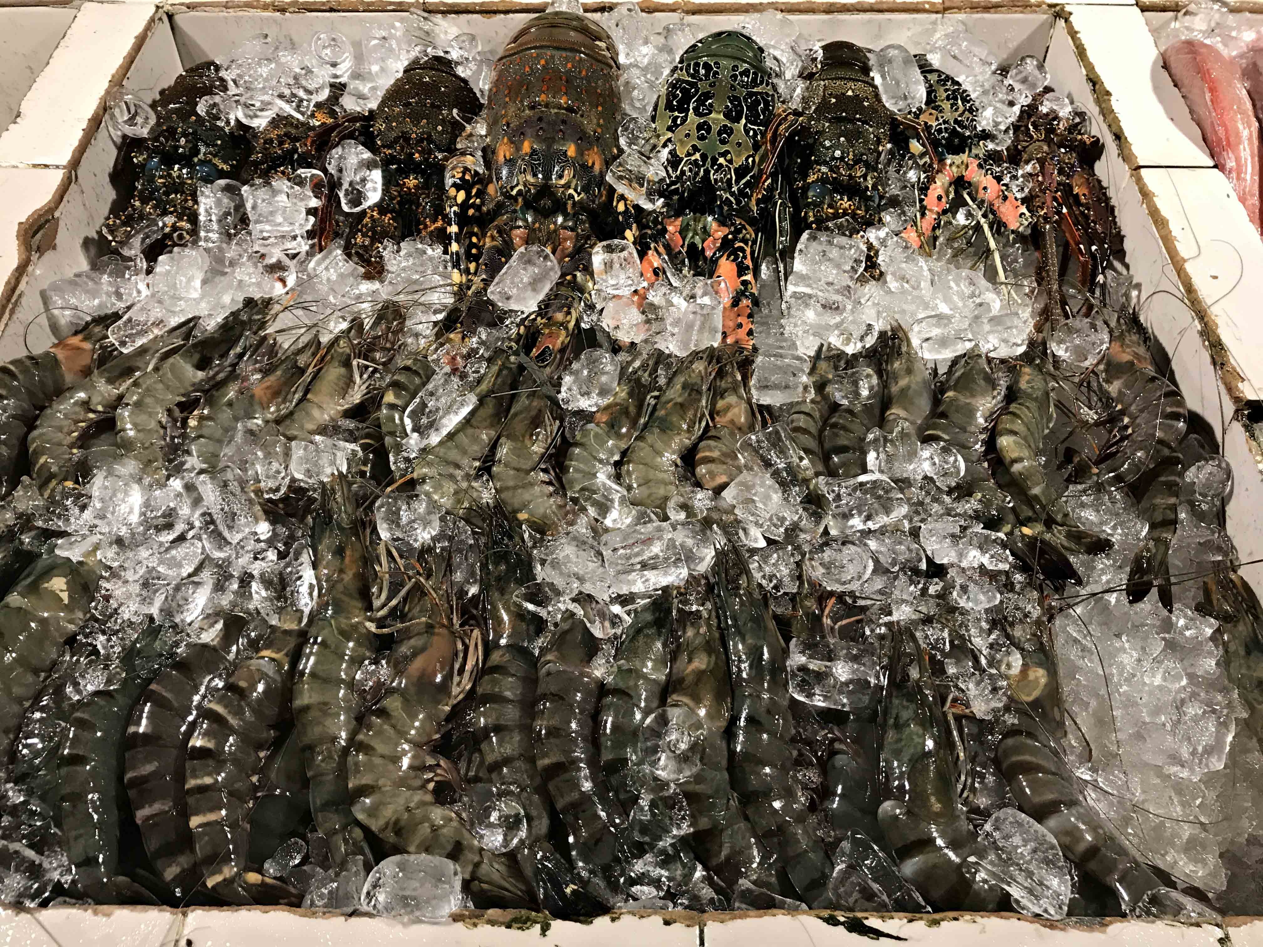 Dao thien duong Boracay anh 17