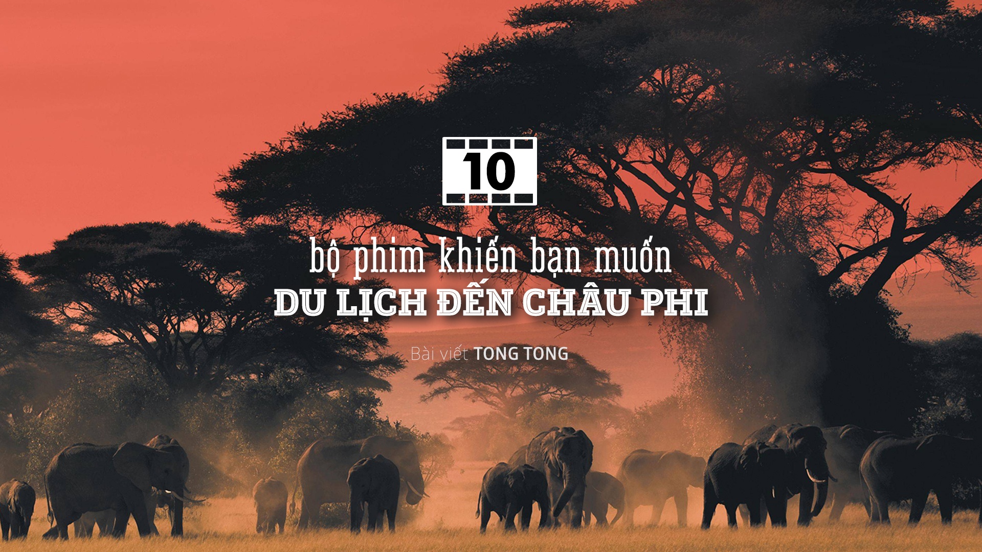 Du lịch châu Phi ảnh 1 Du lich chau Phi anh 1
