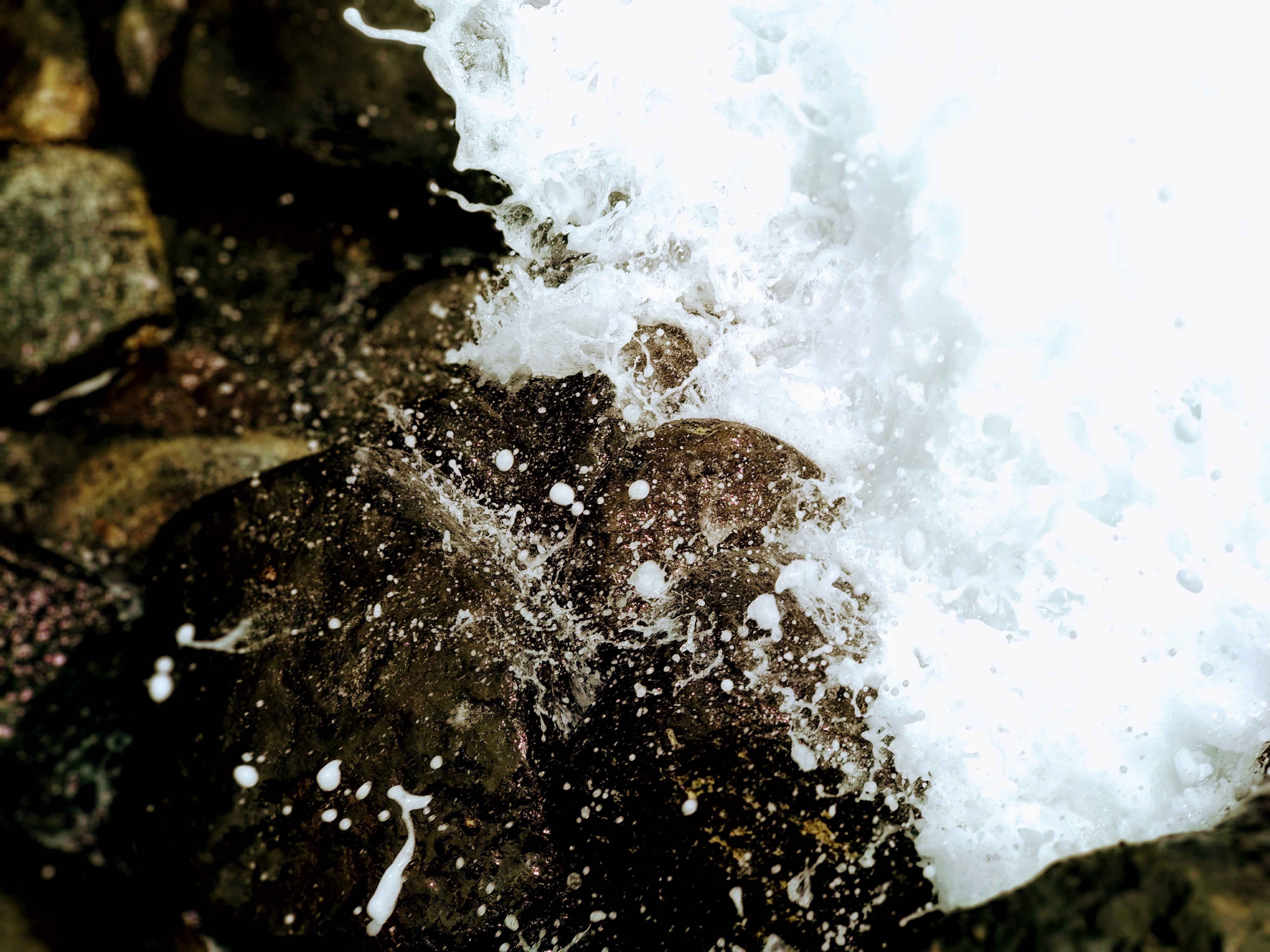 Xiaomi Mi A1 ve Viet Nam anh 11