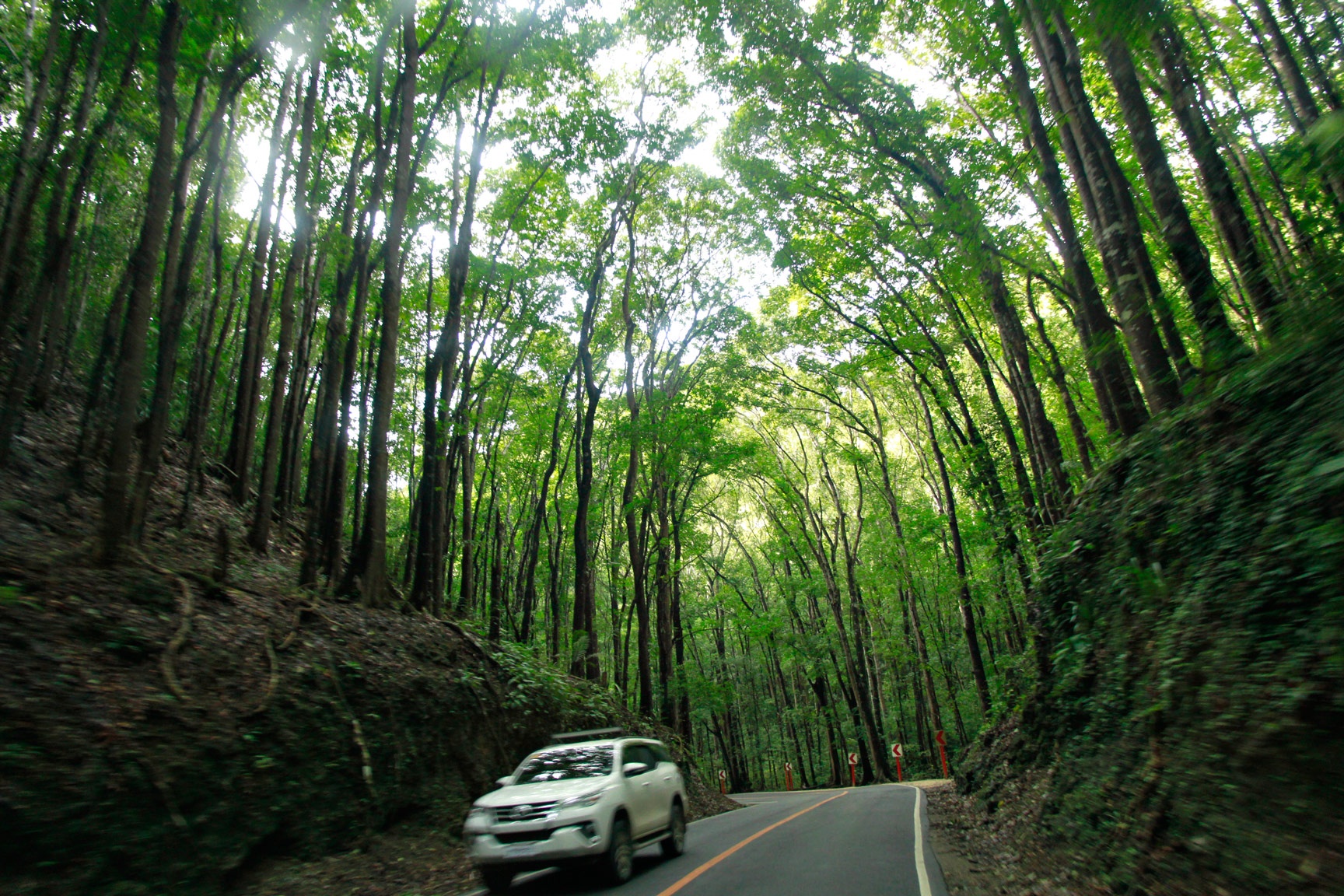 Kham pha Cebu anh 24