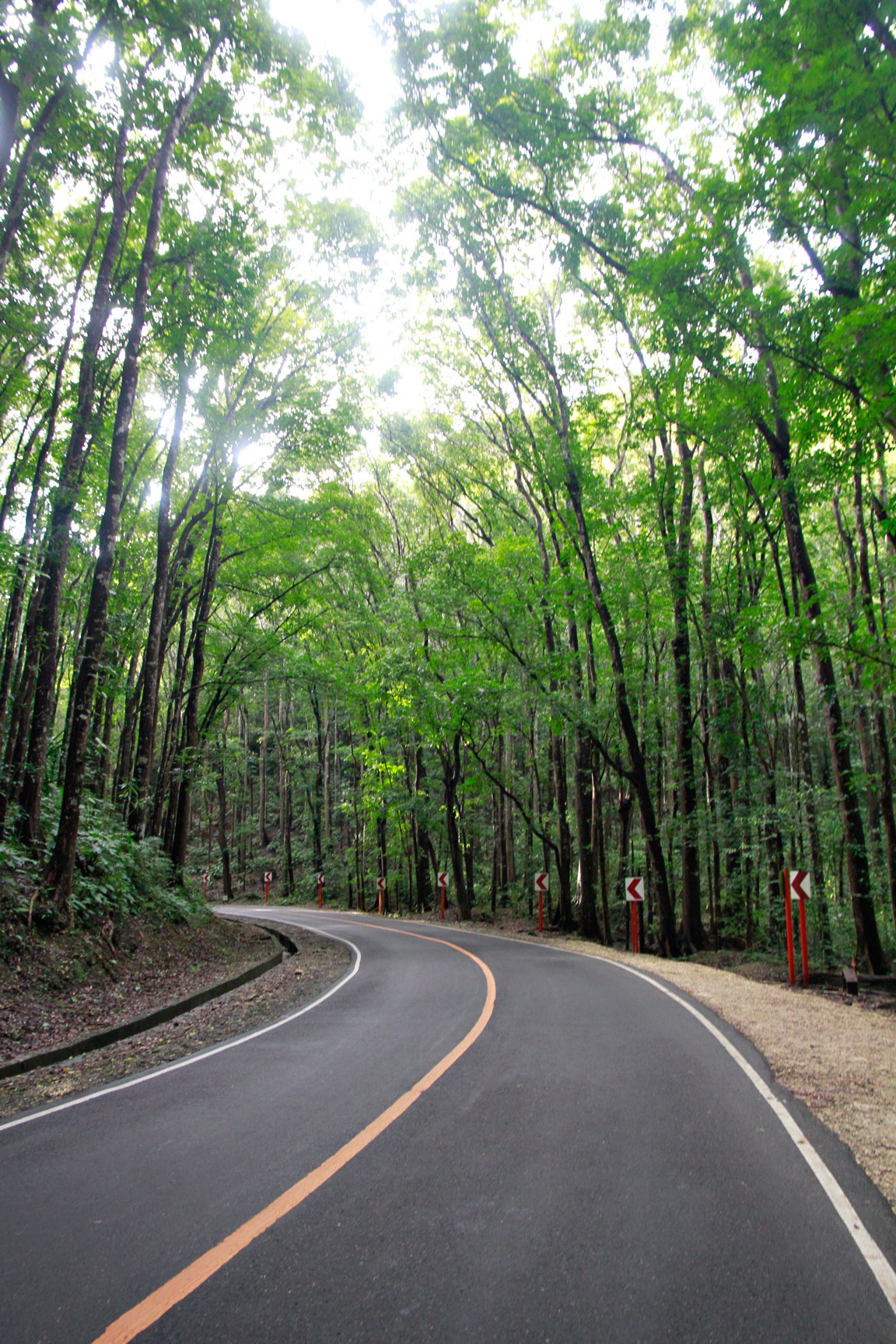 Kham pha Cebu anh 26