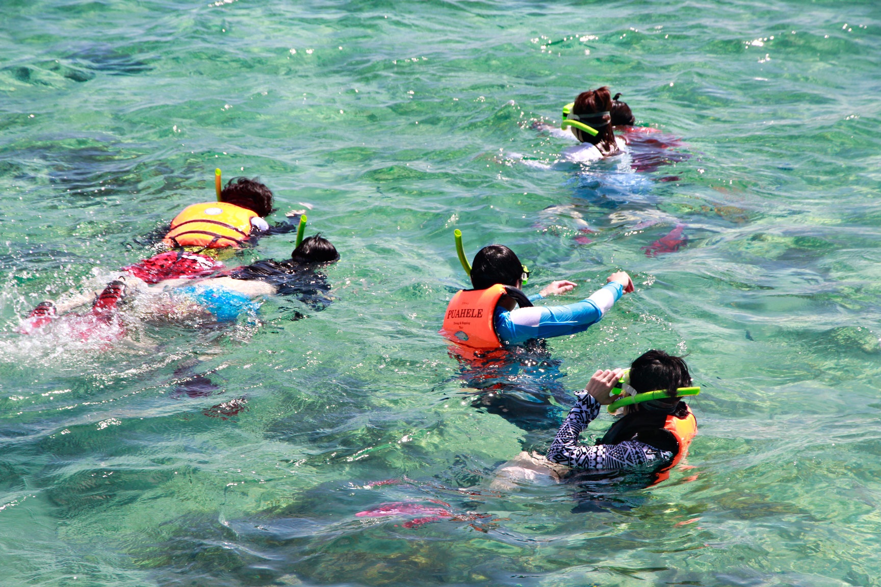 Kham pha Cebu anh 17