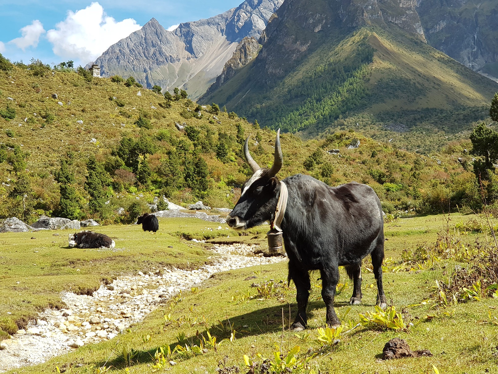 Treckking Himalaya anh 8