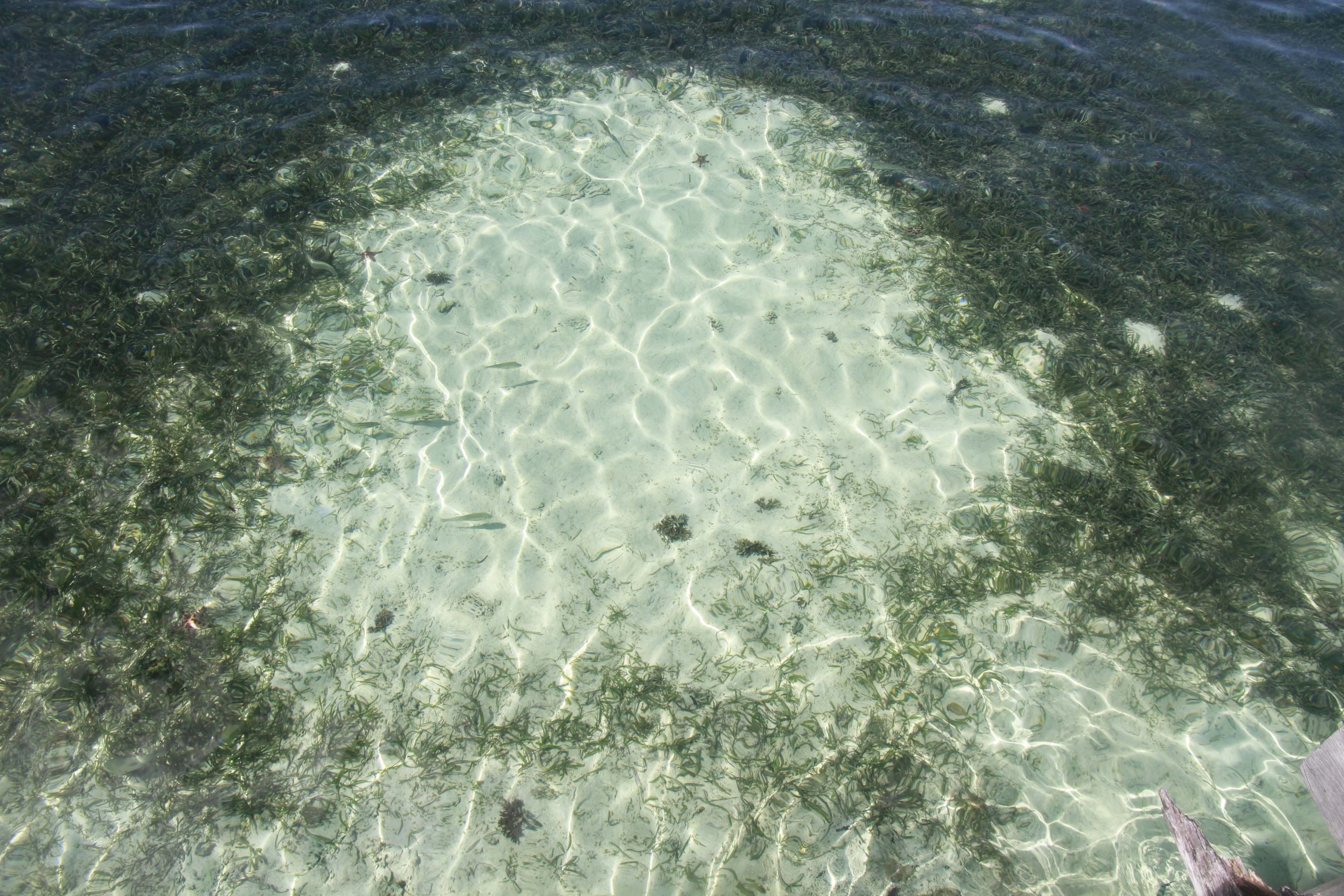 Du lịch Philippines ảnh 11 Du lich Philippines anh 11