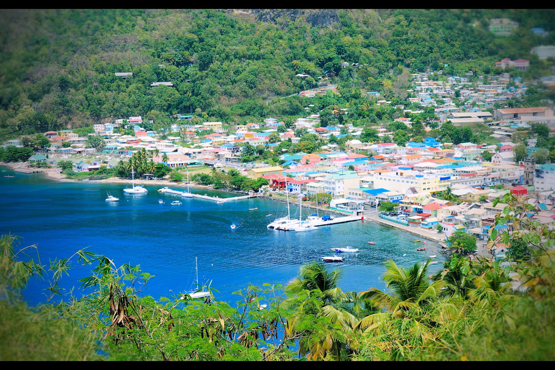 Diem den mua dong anh 6