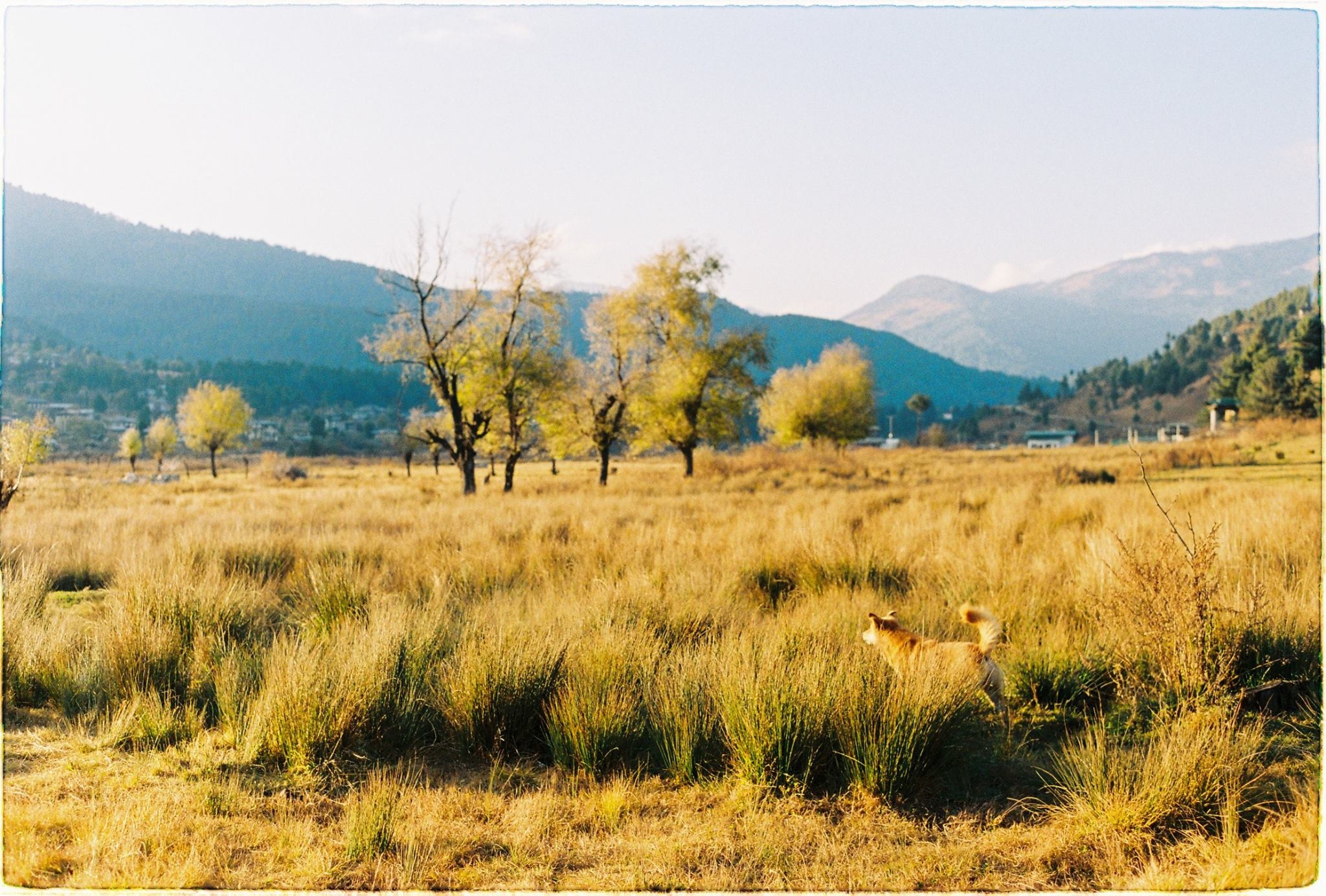 Du lịch Bhutan ảnh 26 Du lich Bhutan anh 26