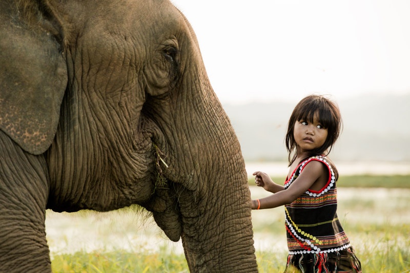 Viet Nam qua ong kinh Rehahn anh 6