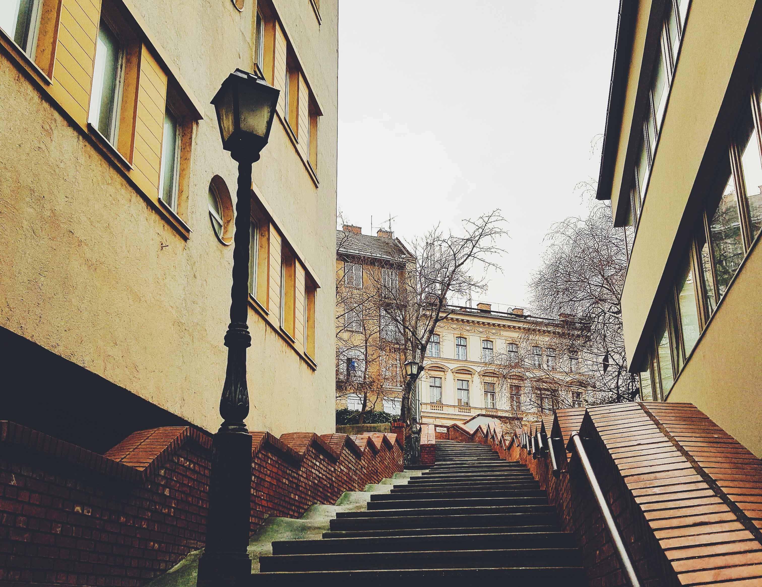 Mua dong o chau Au va suc hut ky la cua nhung con pho co hinh anh