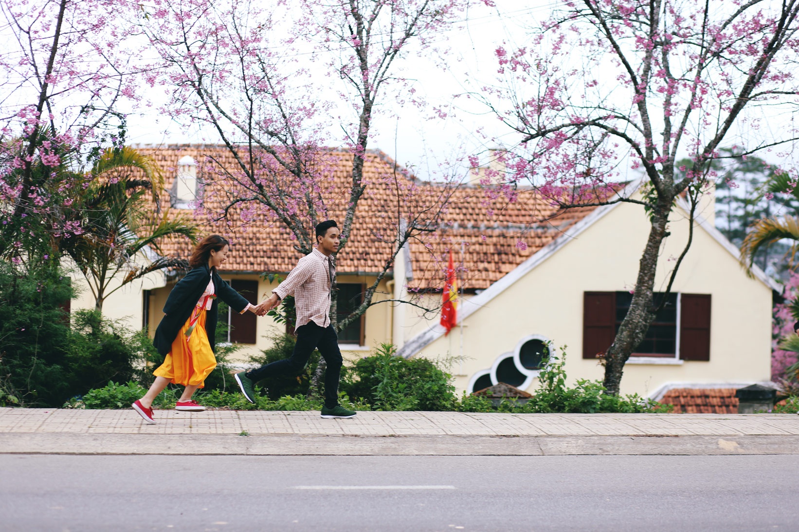 Mai anh dao Da Lat anh 6