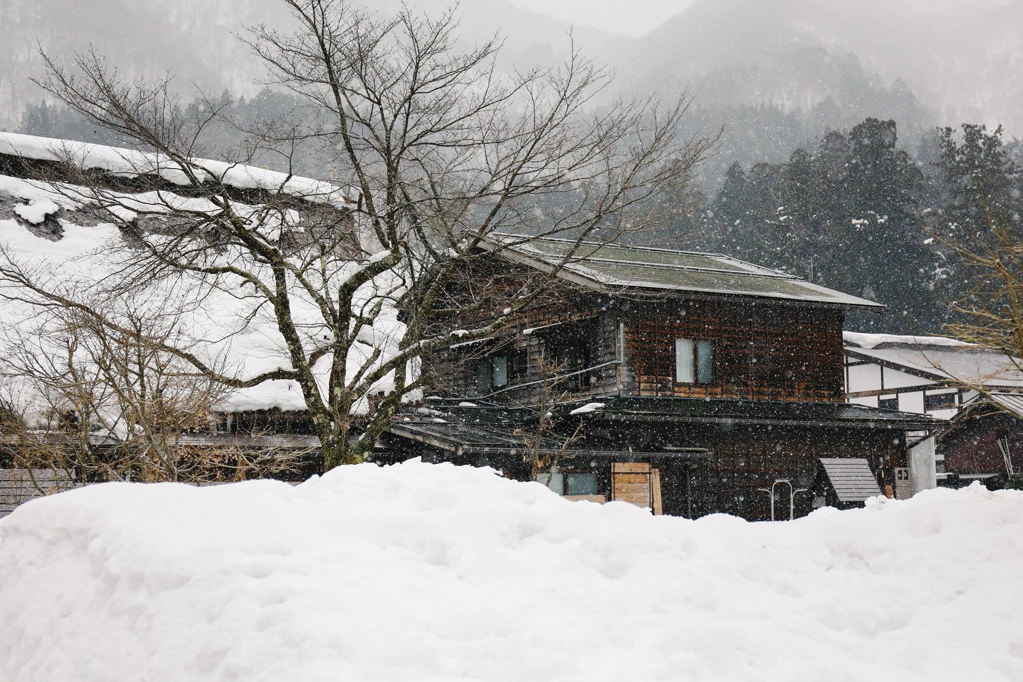 Làng cổ Shirakawago Nhật Bản ảnh 4 Lang co Shirakawago Nhat Ban anh 4