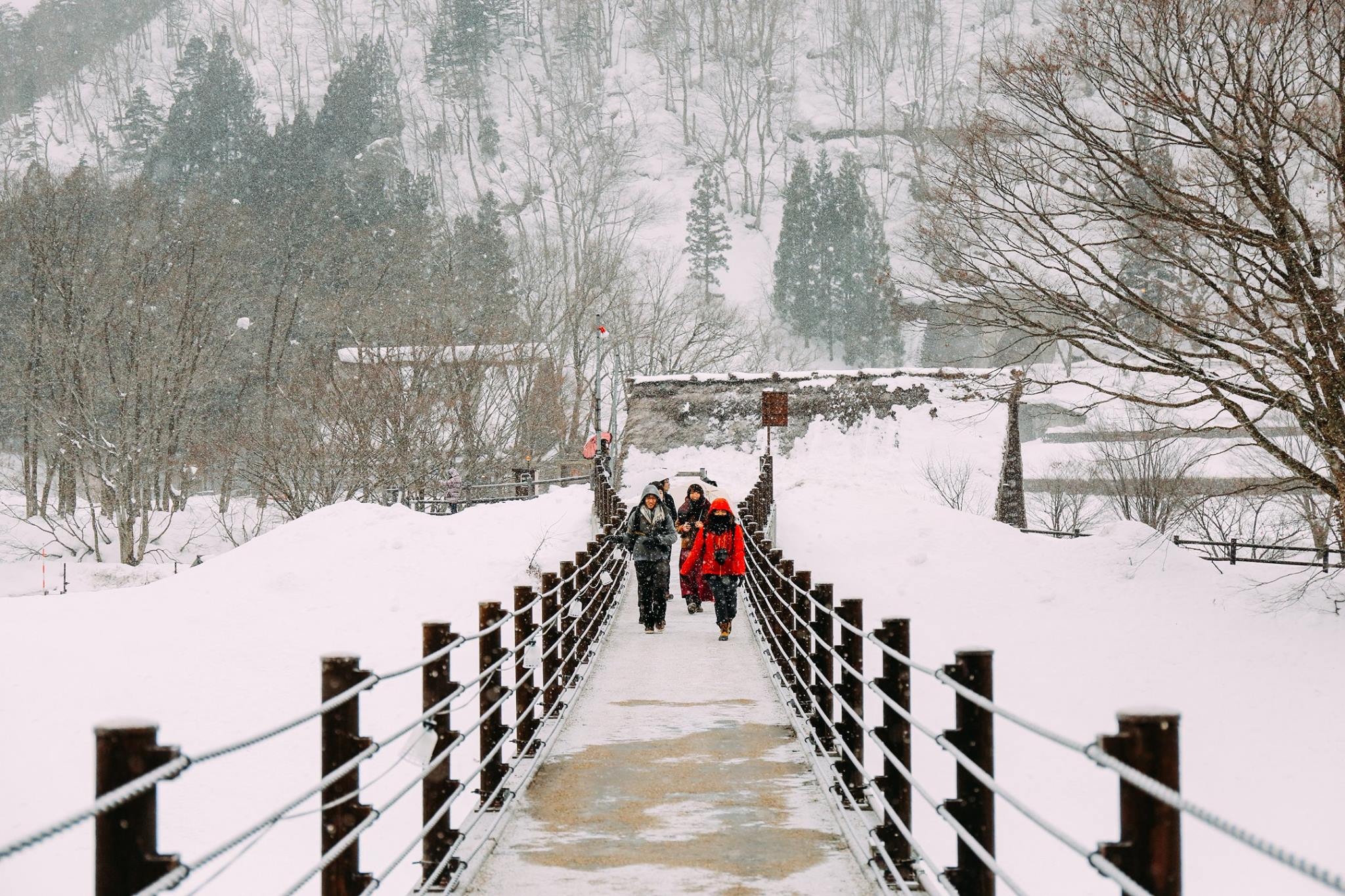 Làng cổ Shirakawago Nhật Bản ảnh 8 Lang co Shirakawago Nhat Ban anh 8