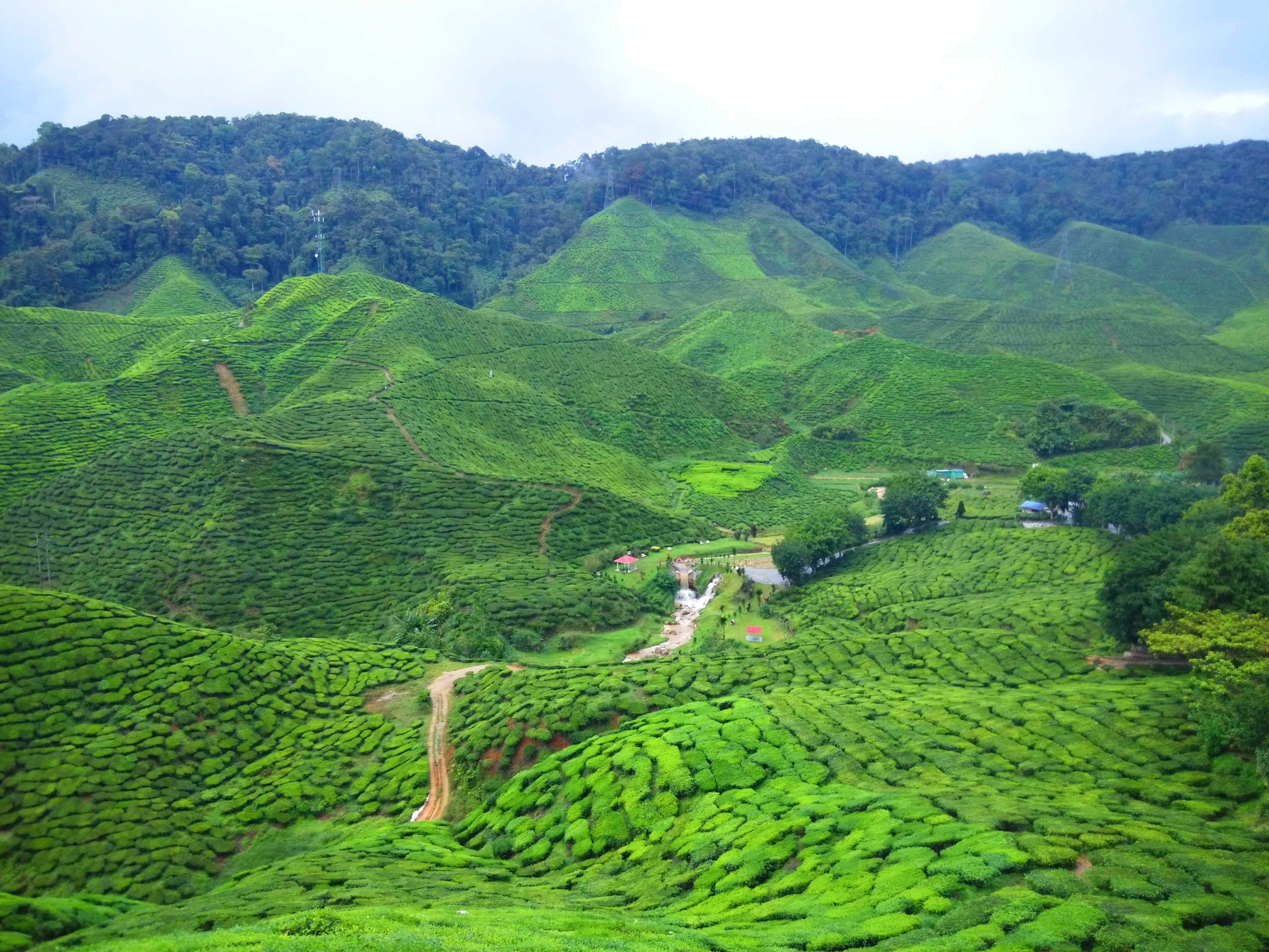 Kham pha 'nuoc Anh thu nho' giua vung cao nguyen cua Malaysia hinh anh