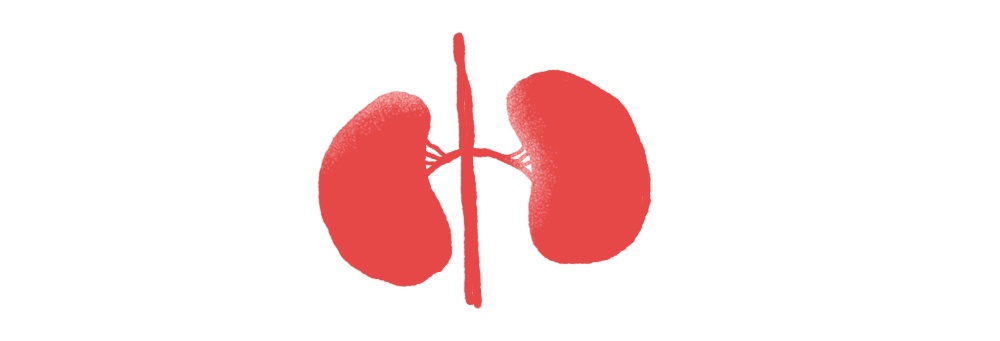 Hiến tạng, ảnh 10 Hien tang, anh 10