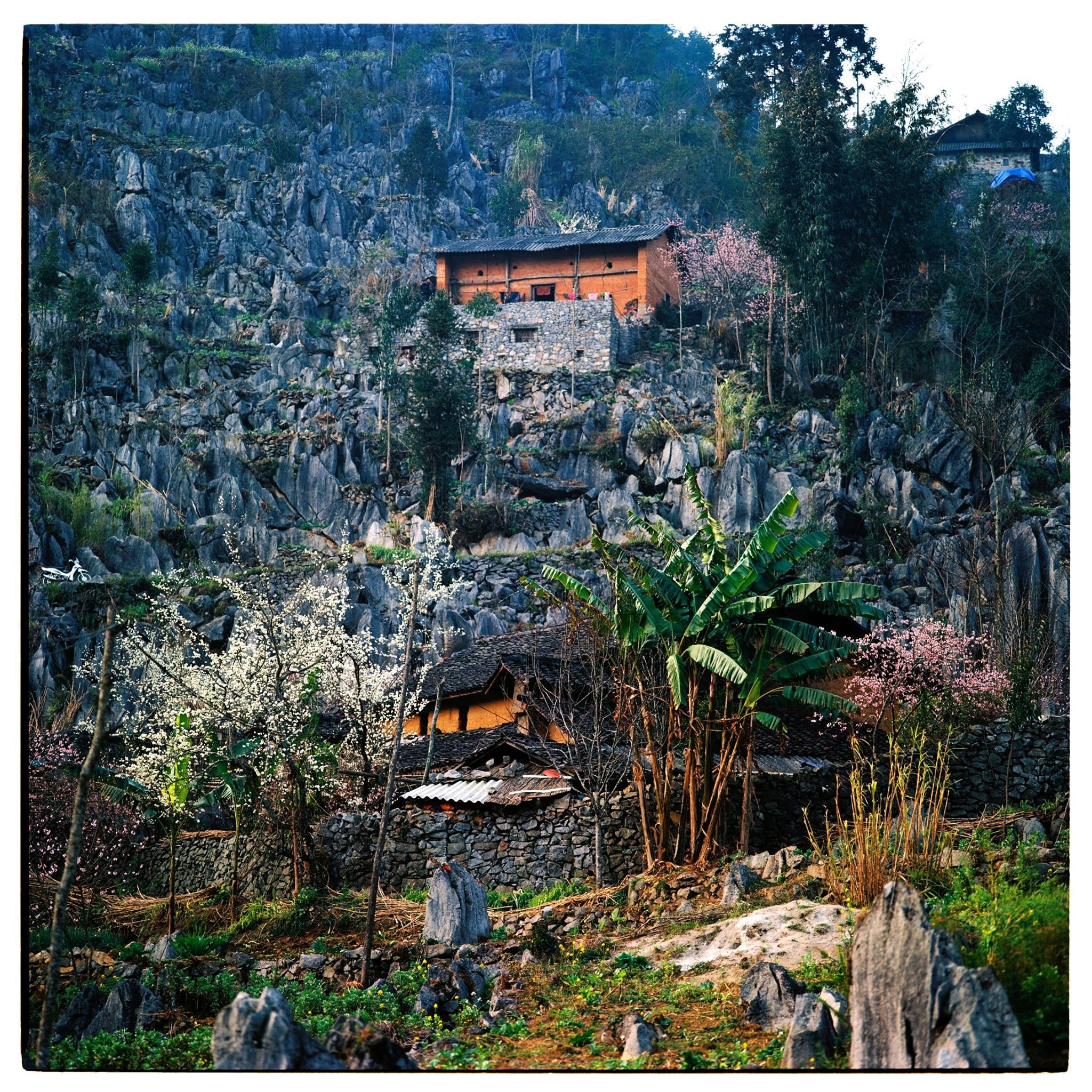 Mua xuan Tay Bac anh 1