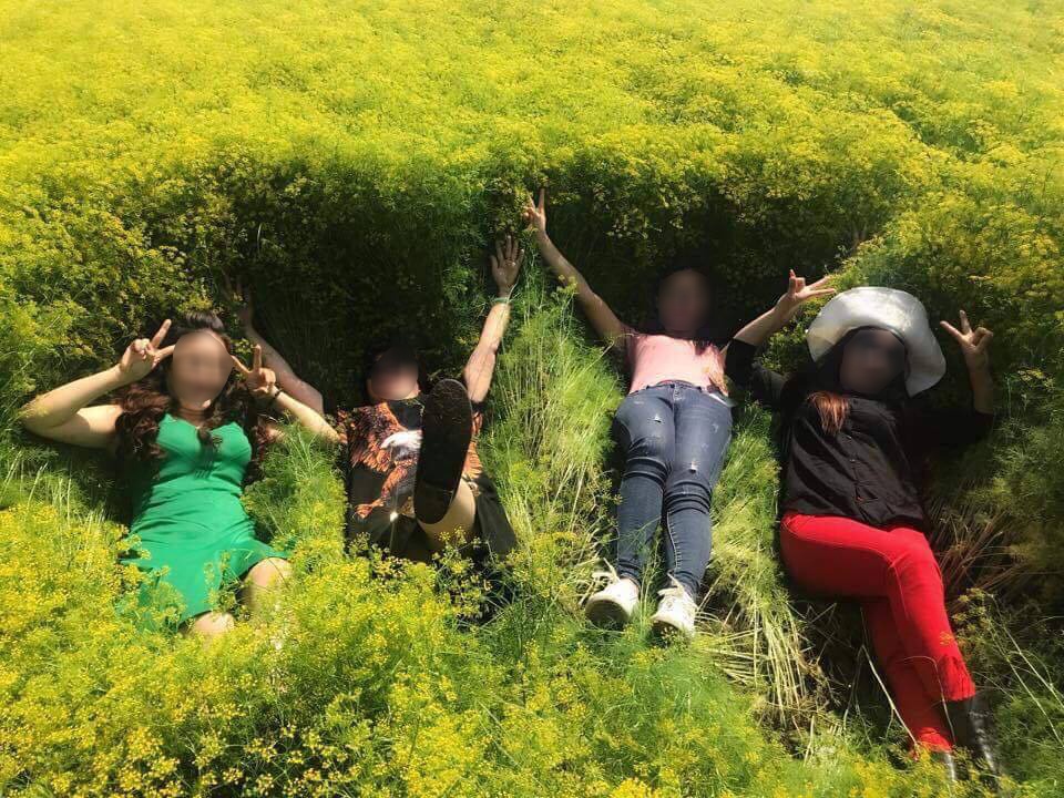 Canh dong hoa o Ninh Thuan voi dong cua vi bi du khach pha hoai hinh anh