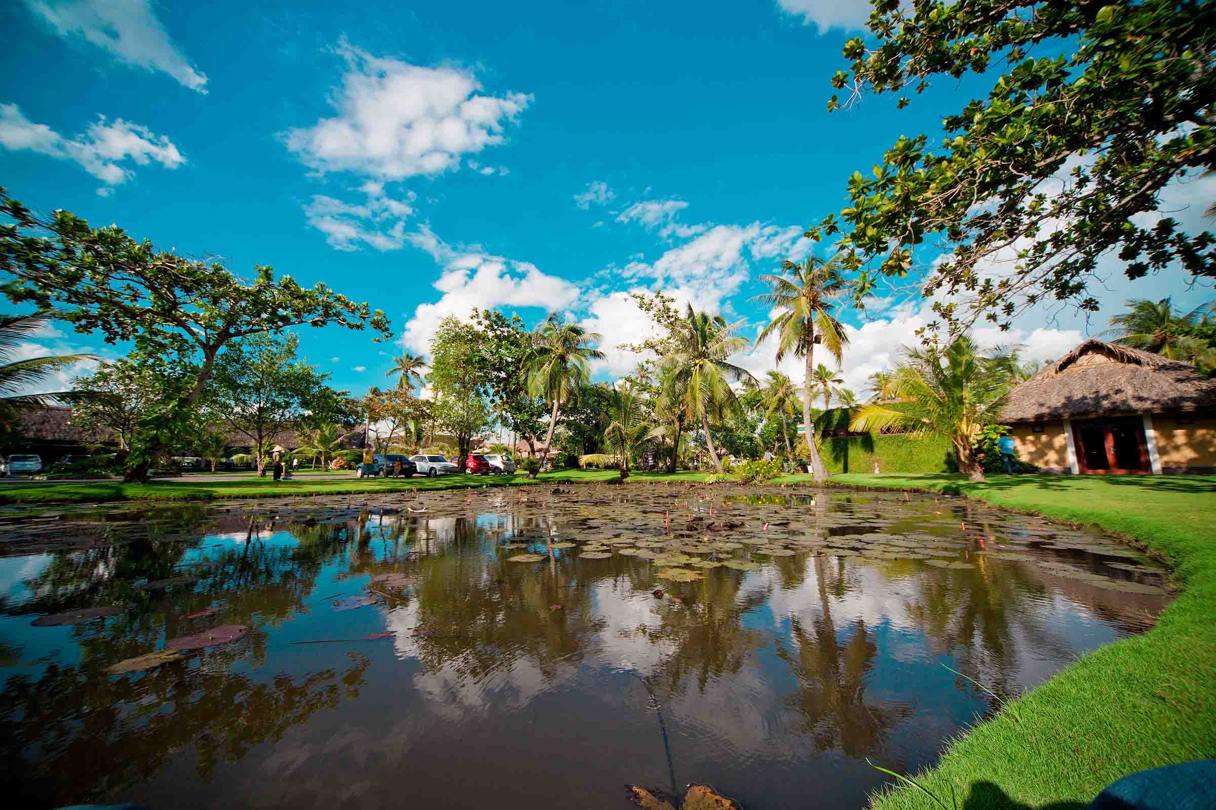 Khu du kich gan Sai Gon anh 2