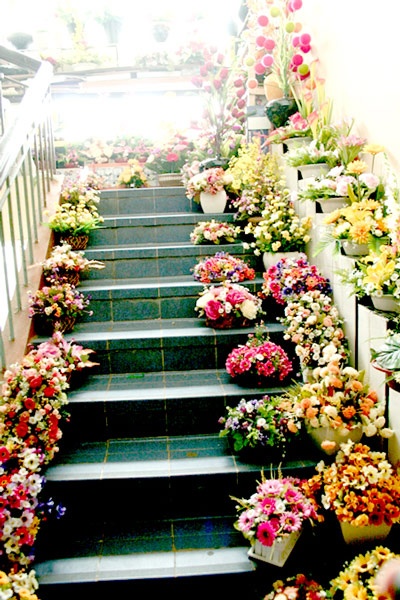 Cho dem Da Lat anh 2