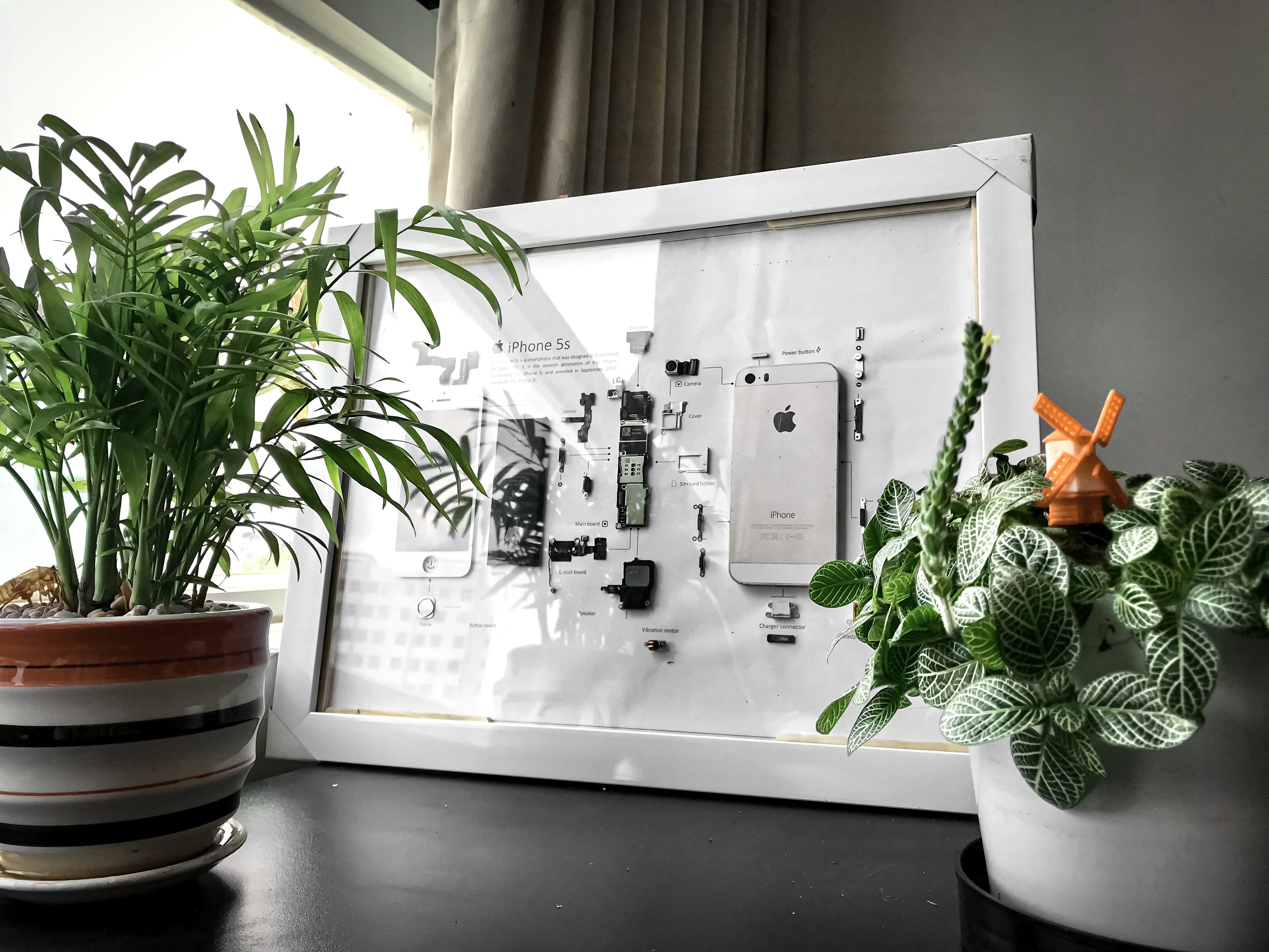 Trao luu 'ra xac' iPhone lam tranh tieu ban o Viet Nam anh 3