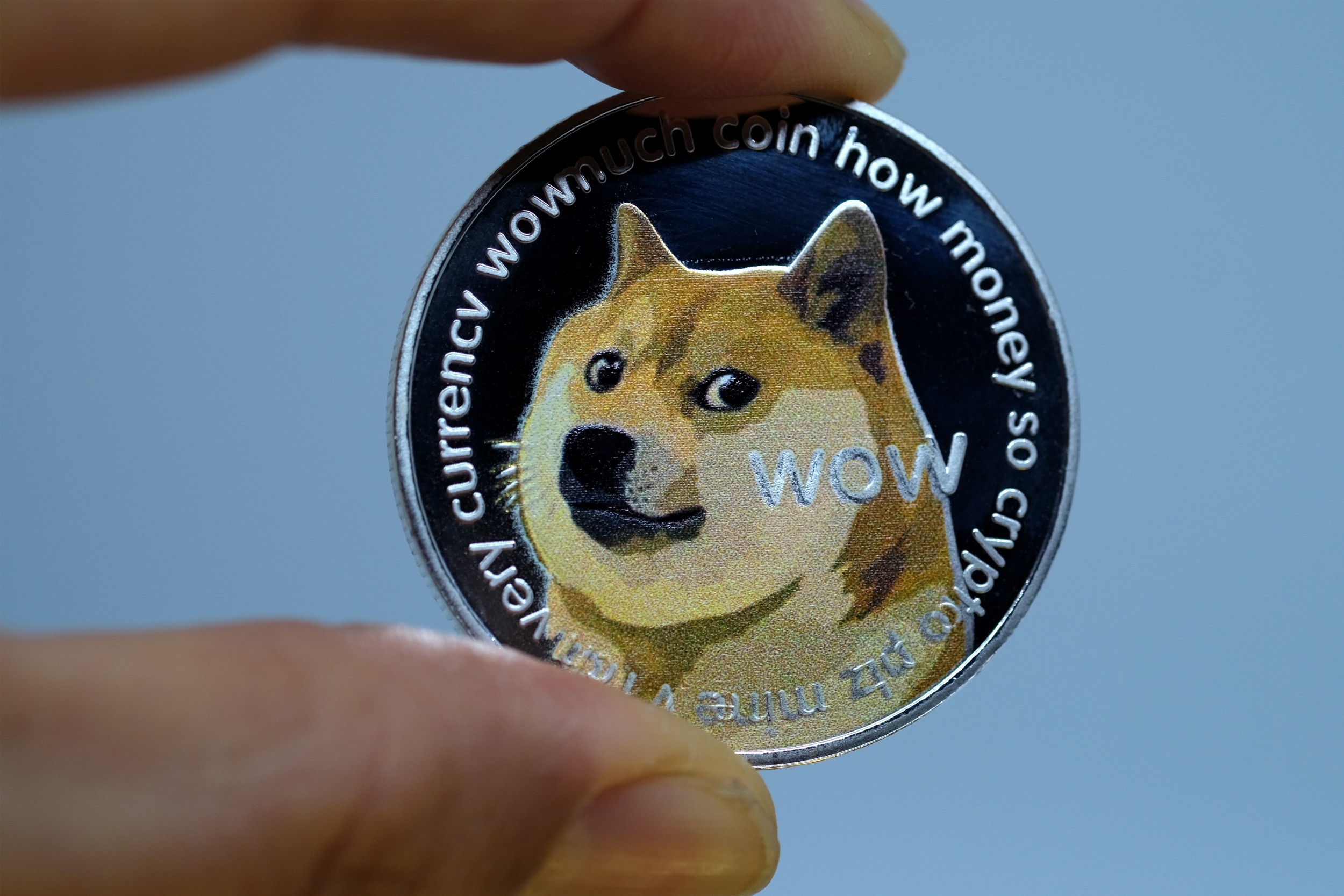 Sau 8 nam, cha de Dogecoin chi loi duoc 3% hinh anh