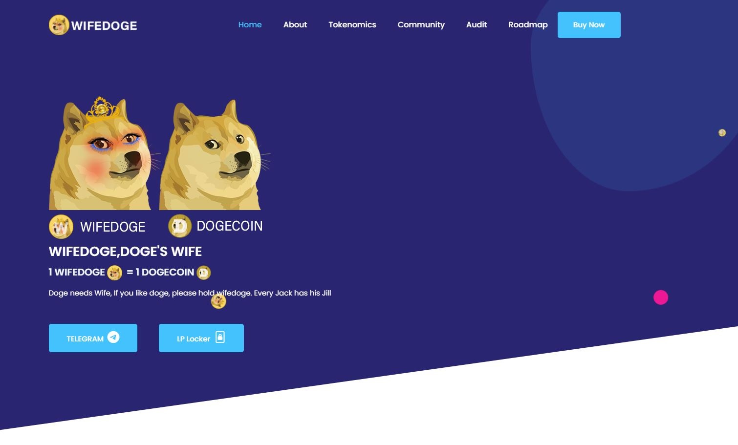 Dong tien tuong tu Dogecoin tang truong hon 3.000% mot ngay anh 1