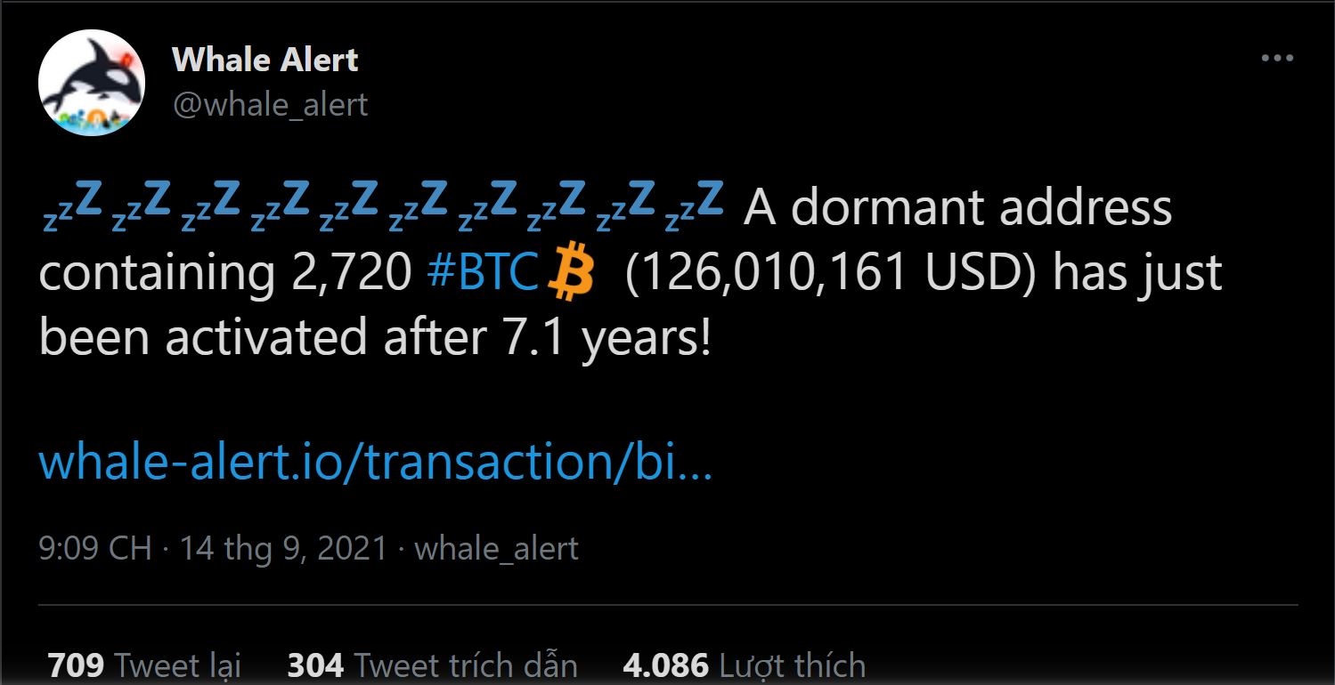 Ca voi kich hoat vi sau hon 7 nam khong hoat dong anh 1