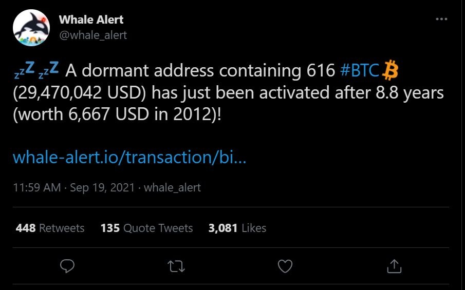 Them mot 'ca voi' Bitcoin thuc giac sau gan 9 nam khong hoat dong anh 1