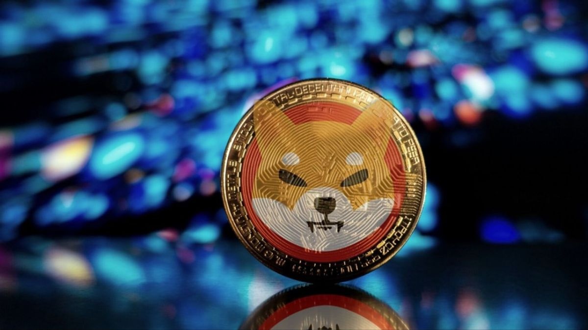 Ly vì thế gia coin Shiba Inu tang lien tuc hinh anh