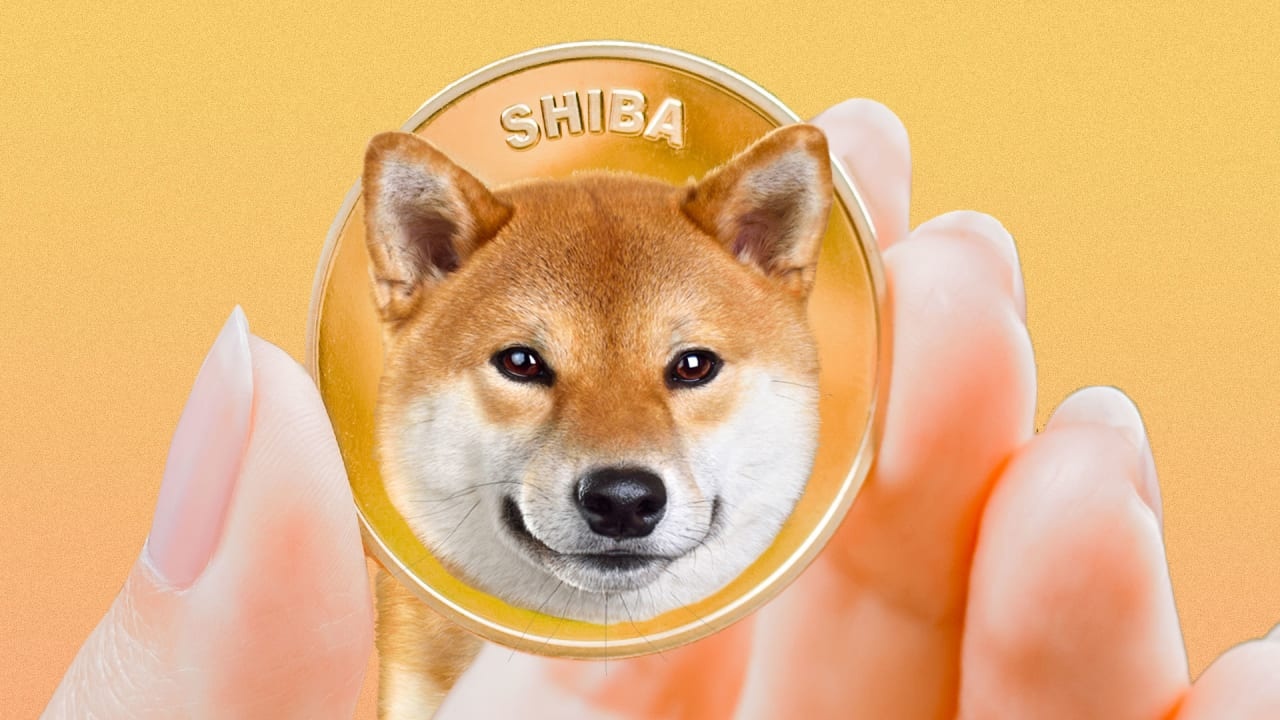 Ho so Shiba Inu, tien ma hoa vua vuot mat Dogecoin hinh anh